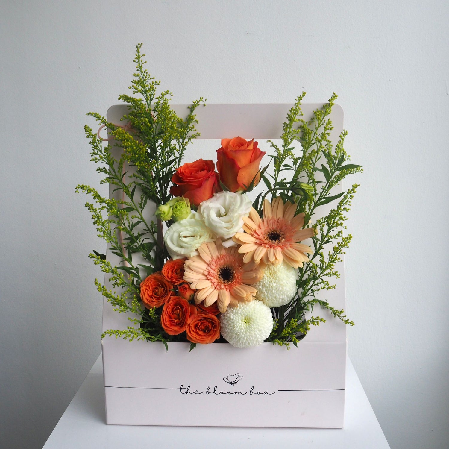 The Bloom Box of the Day