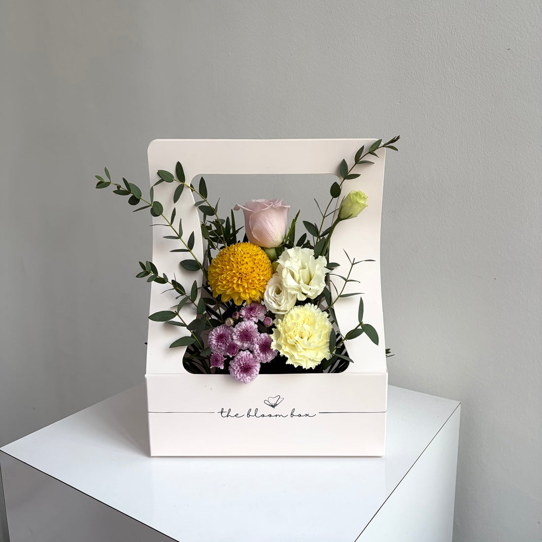 The Bloom Box of the Day