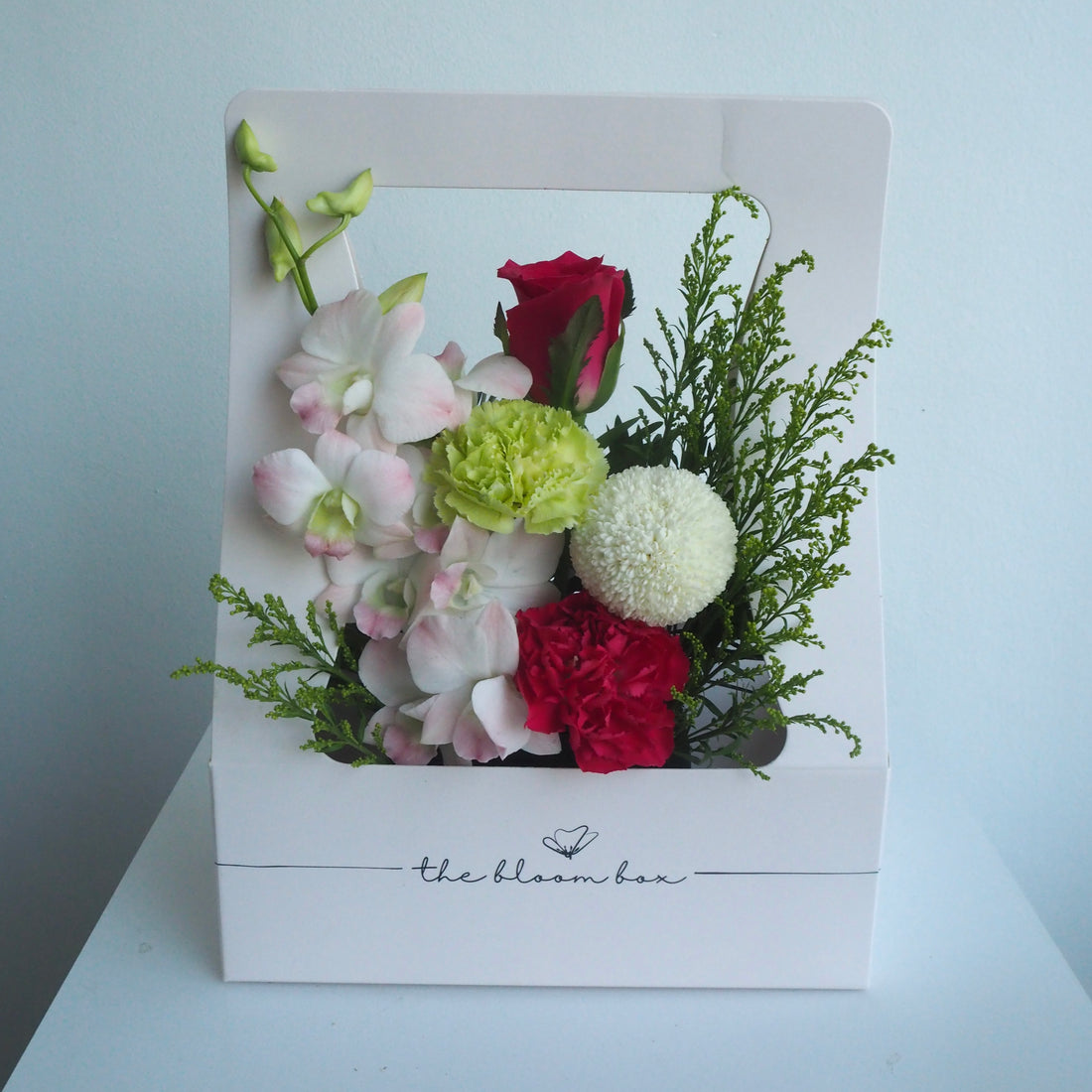 The Bloom Box of the Day