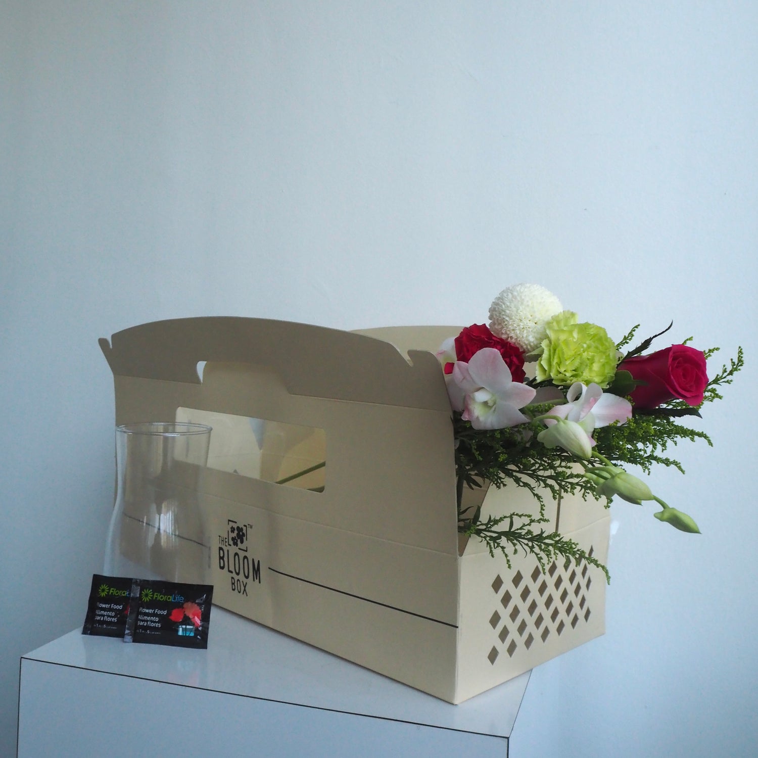The Bloom Box of the Day