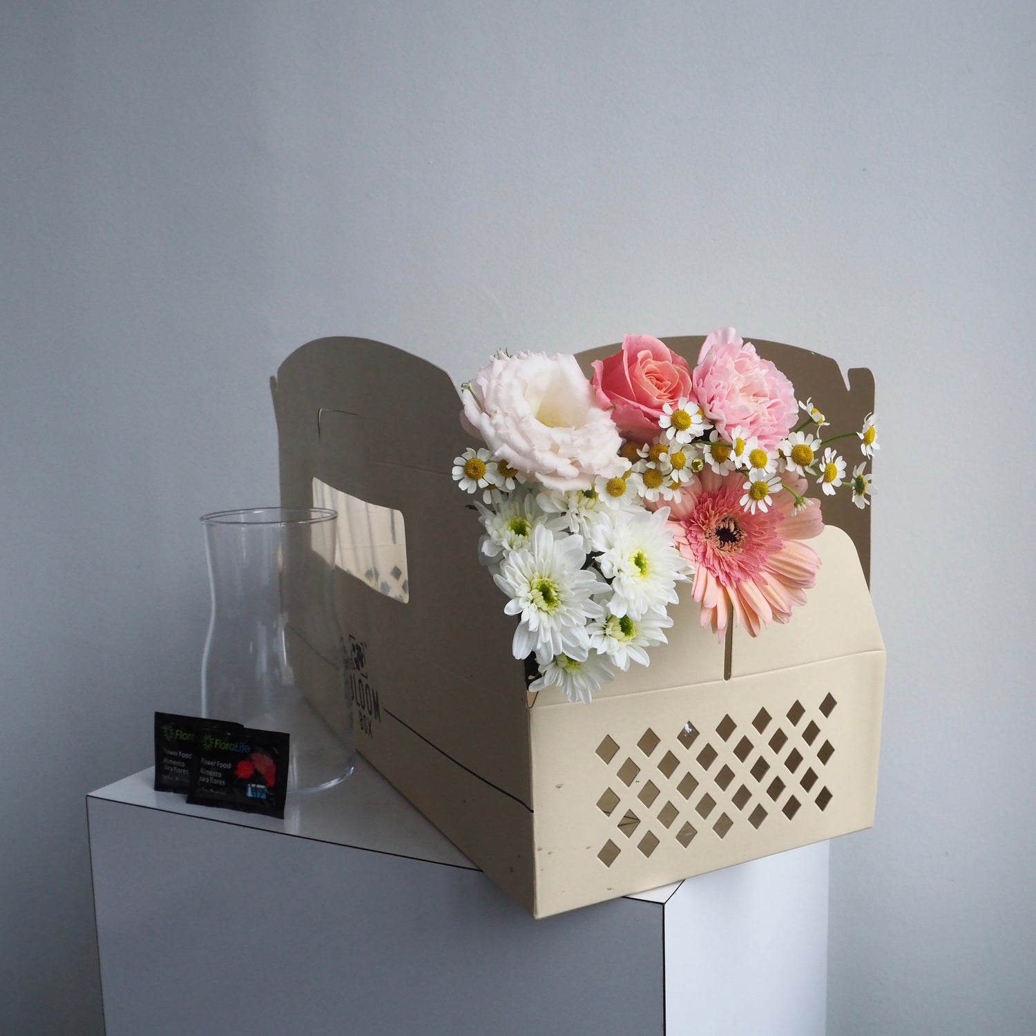 The Bloom Box of the Day