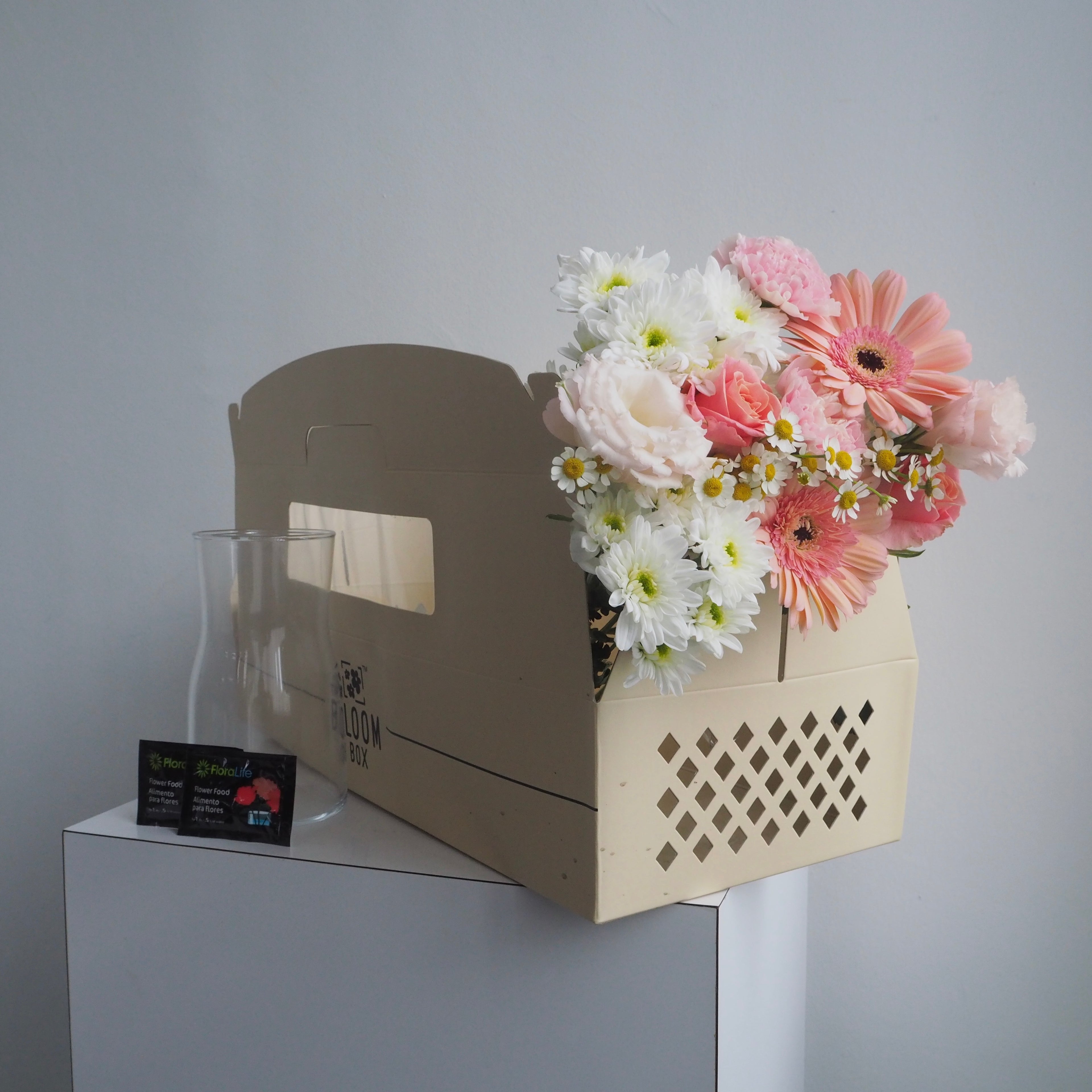 The Bloom Box of the Day