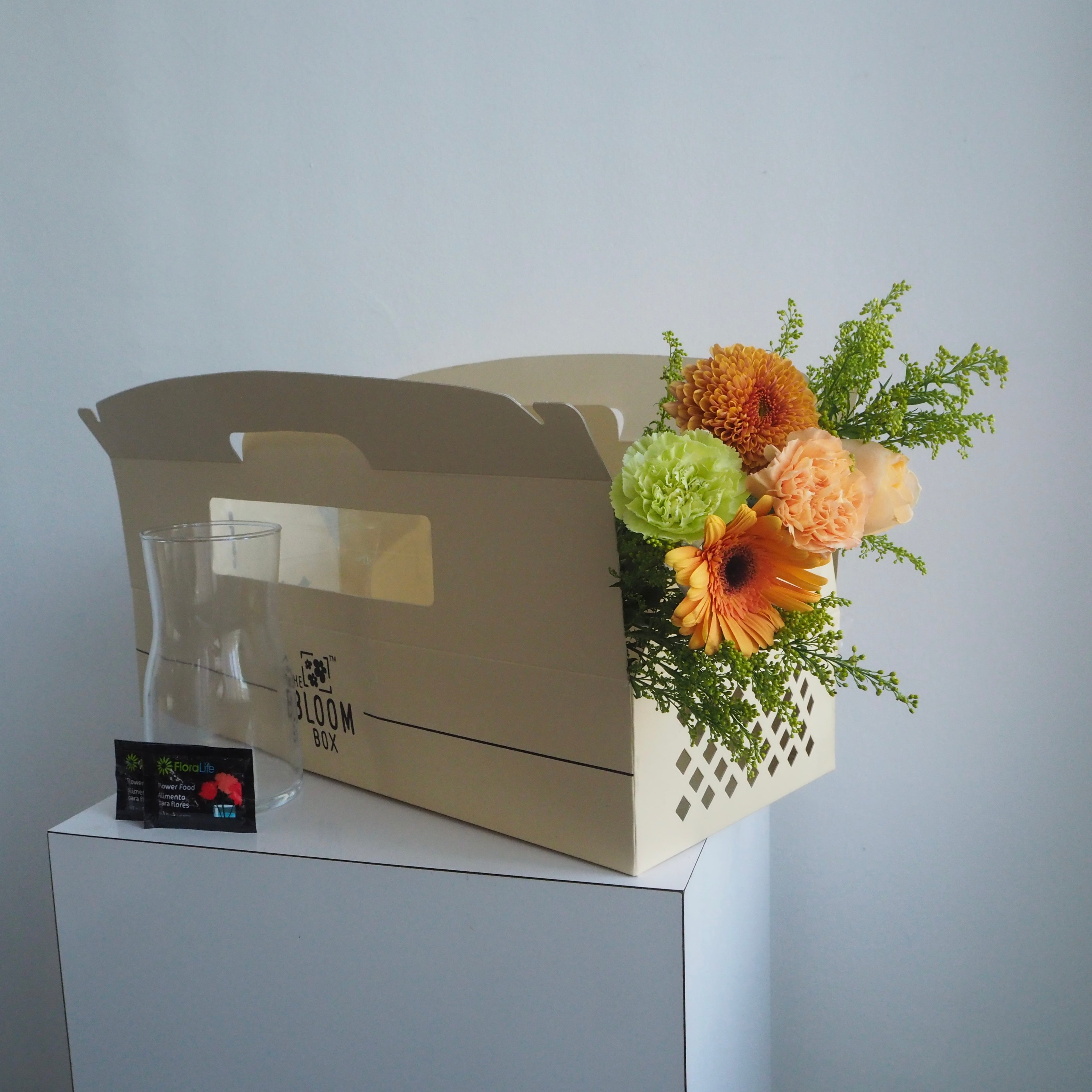 The Bloom Box of the Day