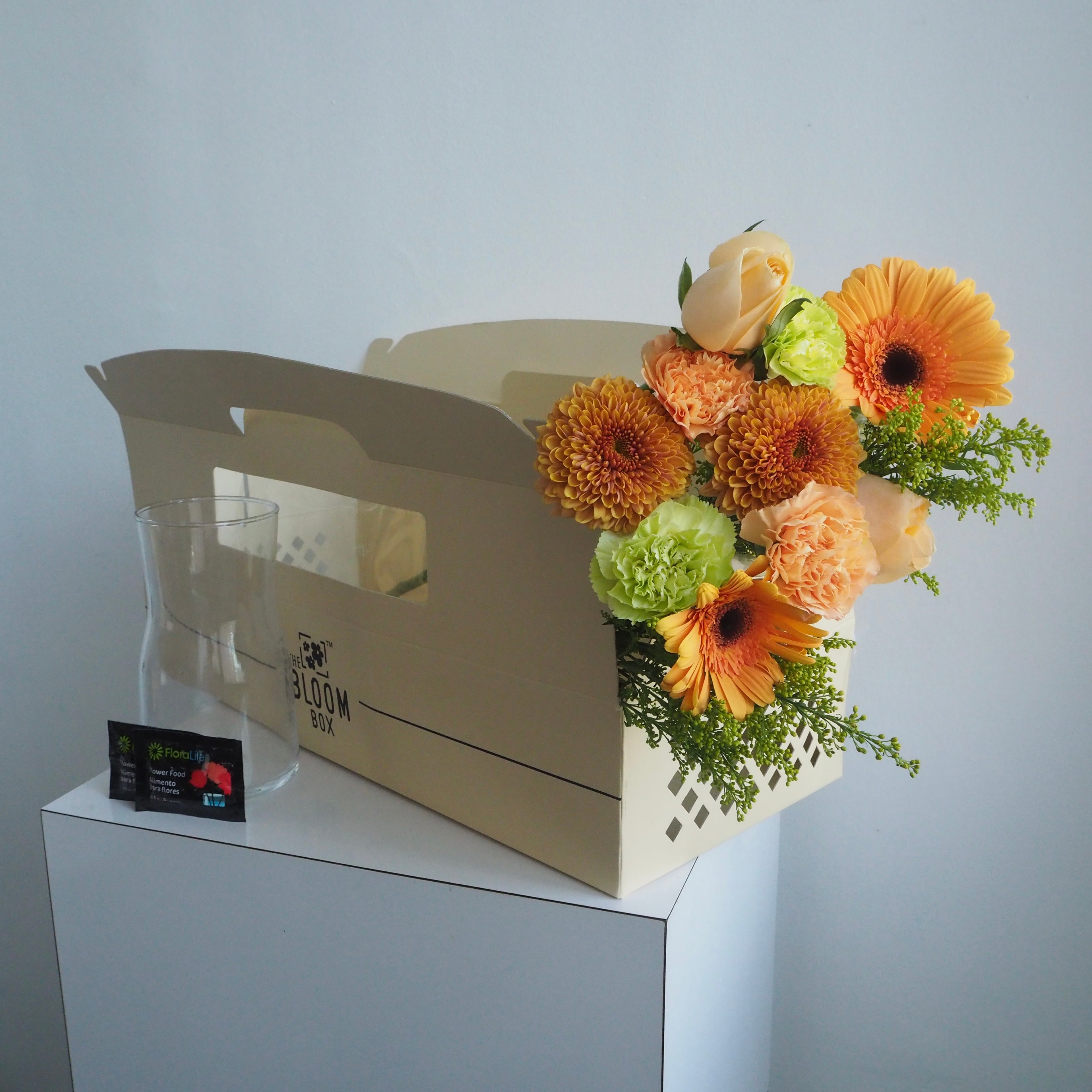 The Bloom Box of the Day