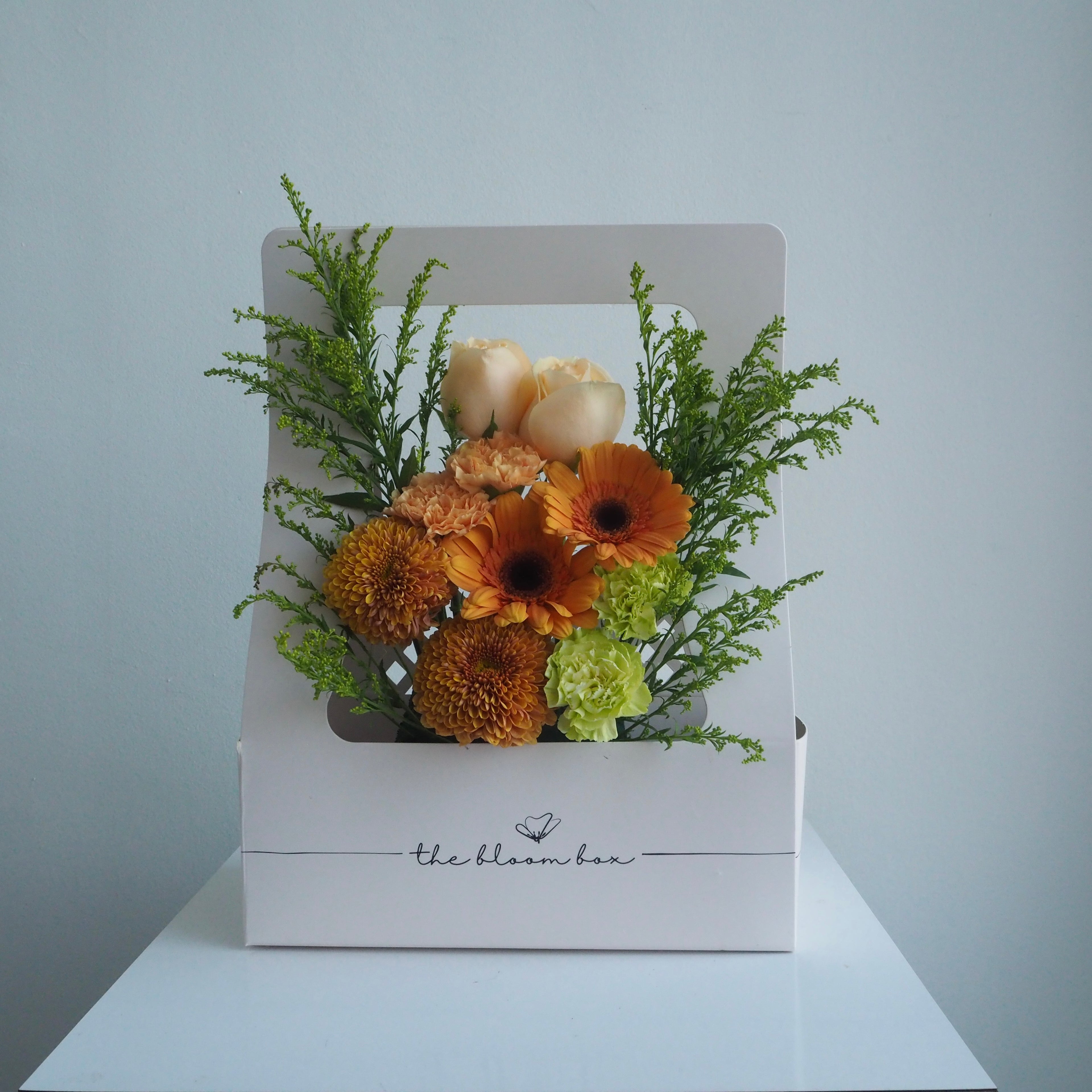 The Bloom Box of the Day