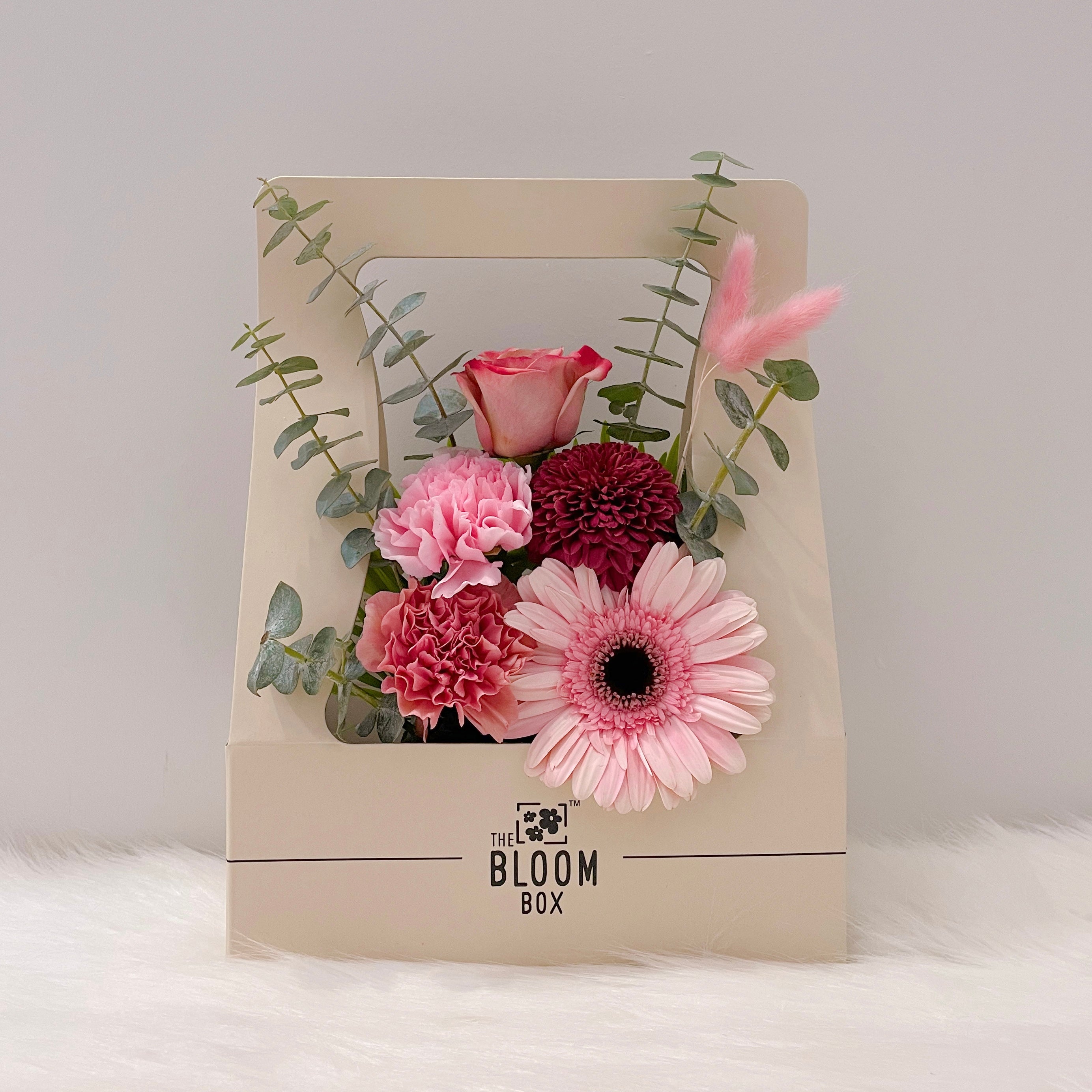 The Bloom Box of the Day