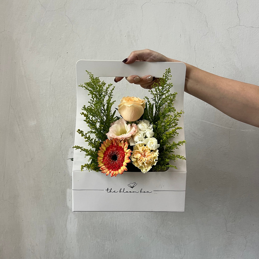 The Bloom Box of the Day