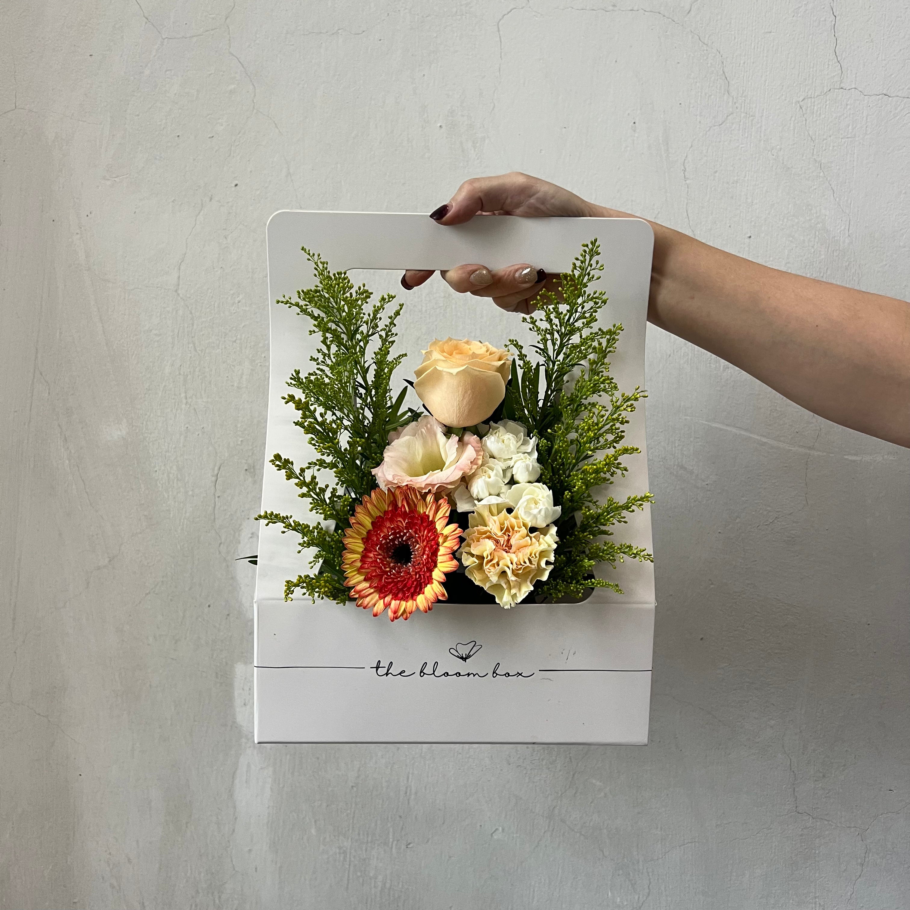 The Bloom Box of the Day