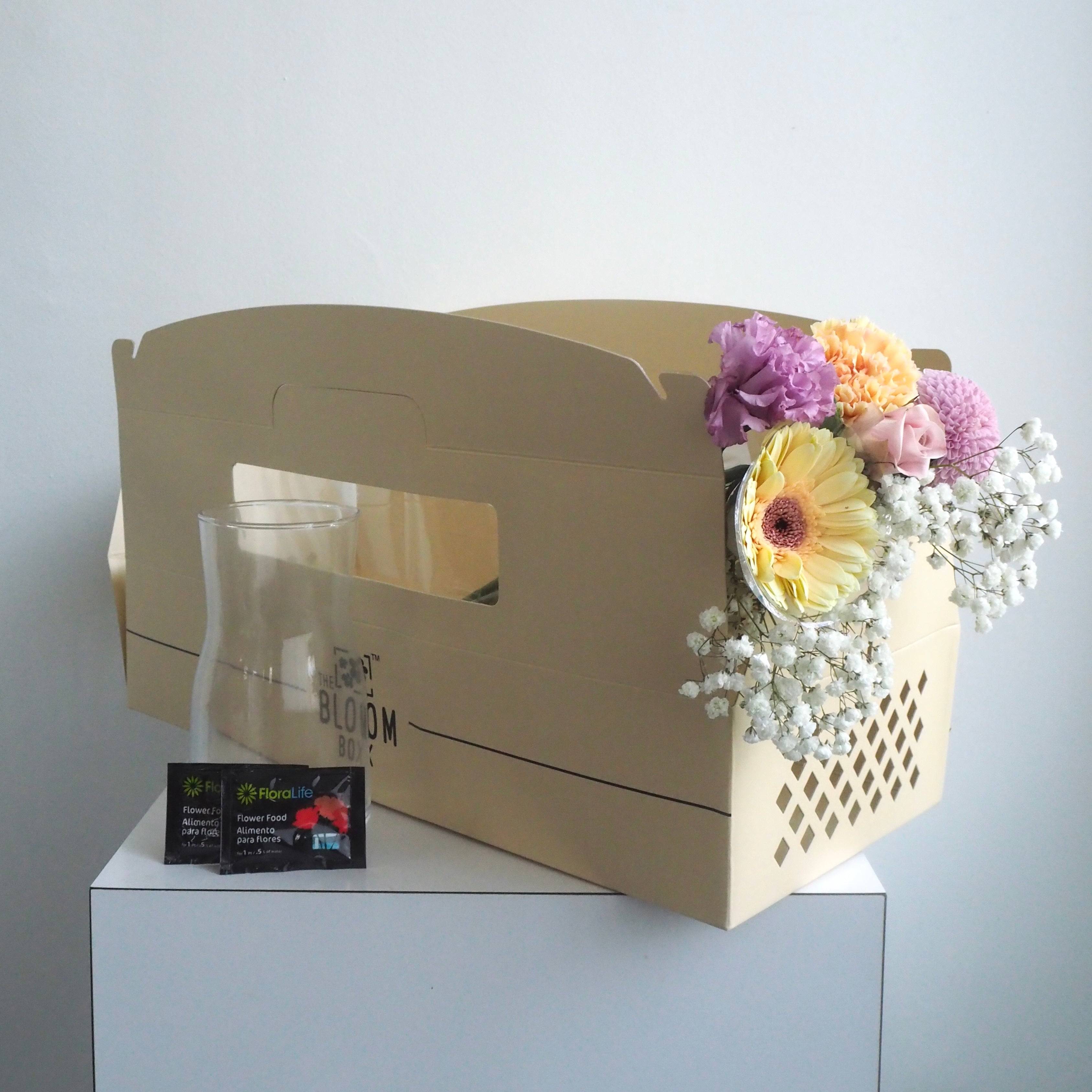 The Bloom Box of the Day