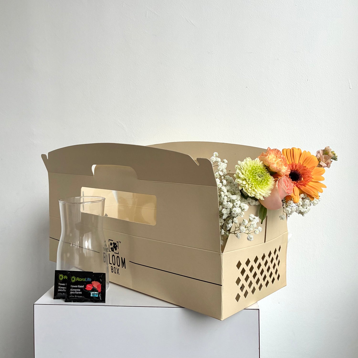 The Bloom Box of the Day