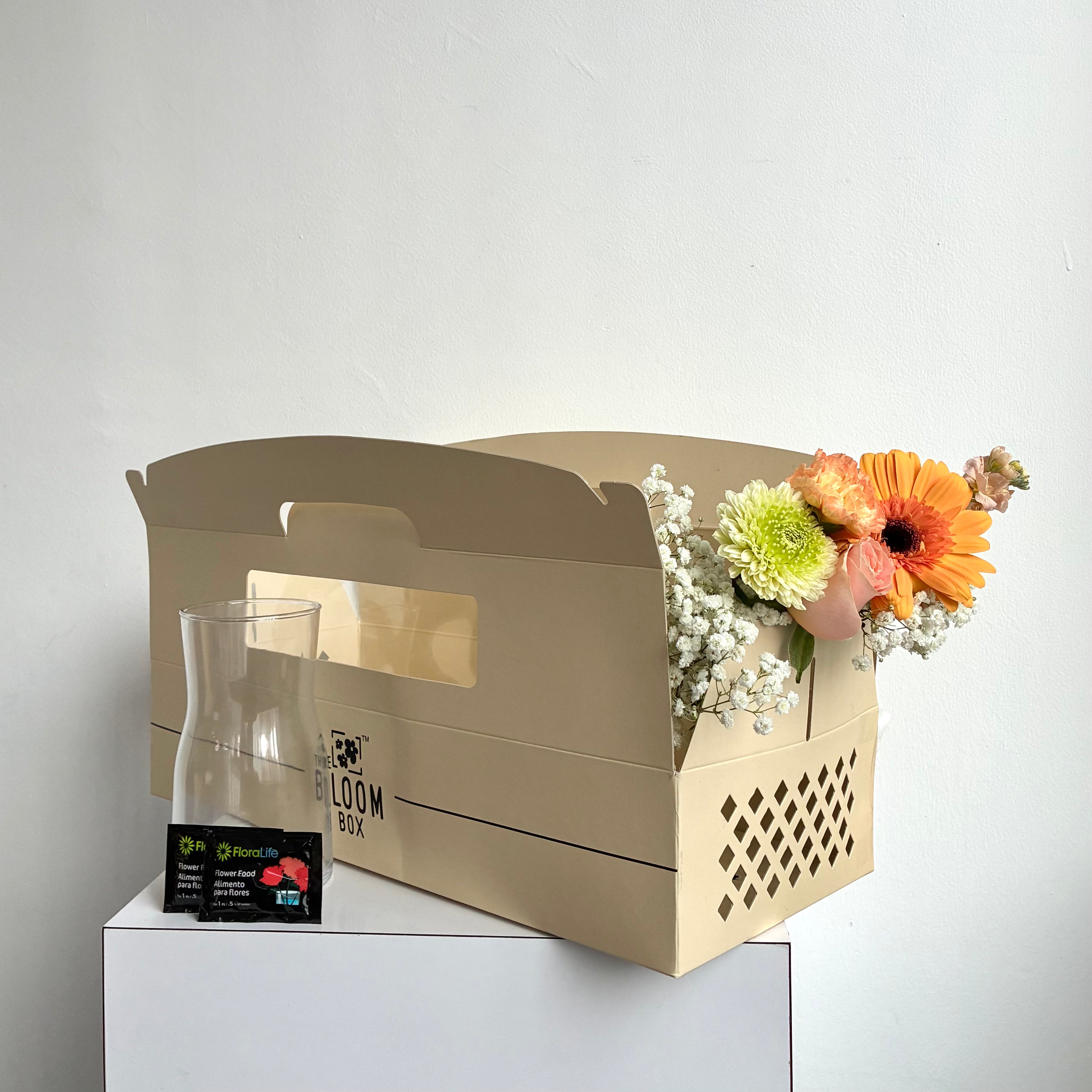 The Bloom Box of the Day