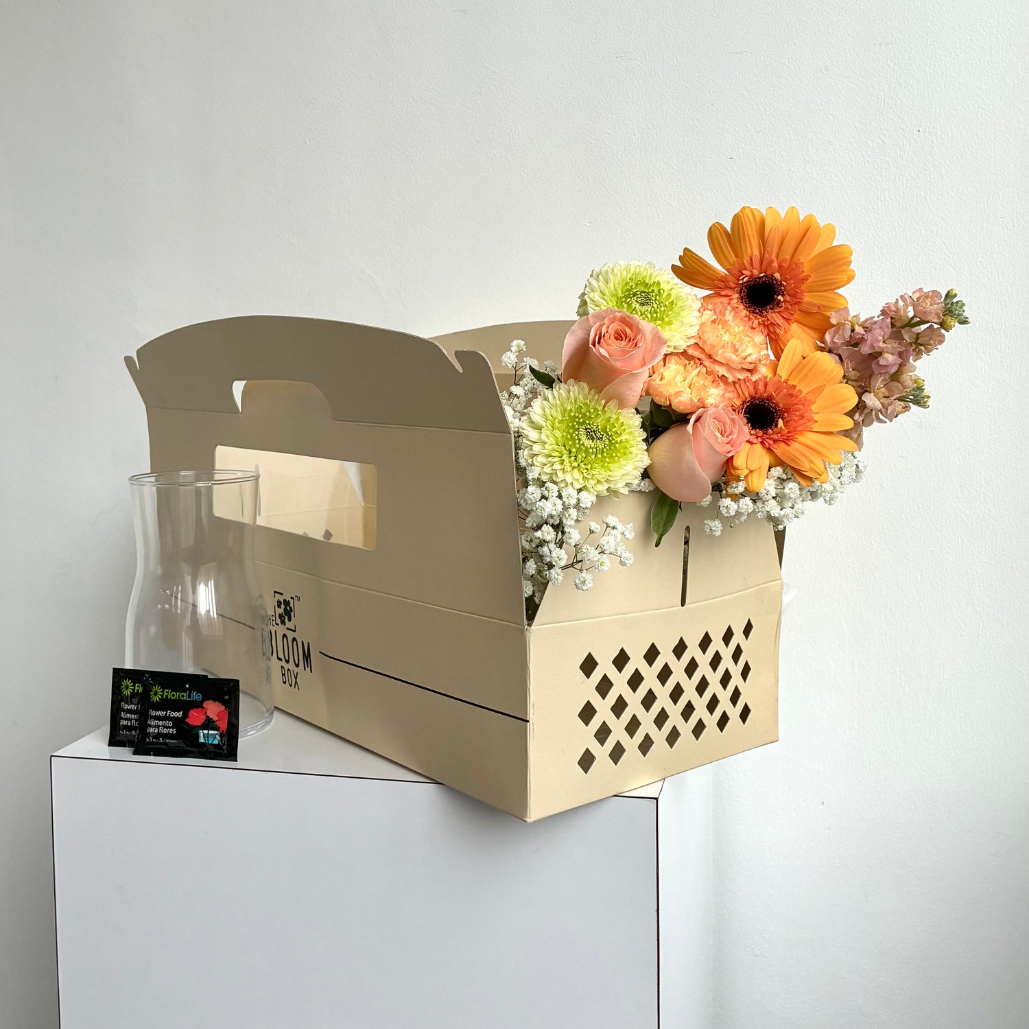 The Bloom Box of the Day