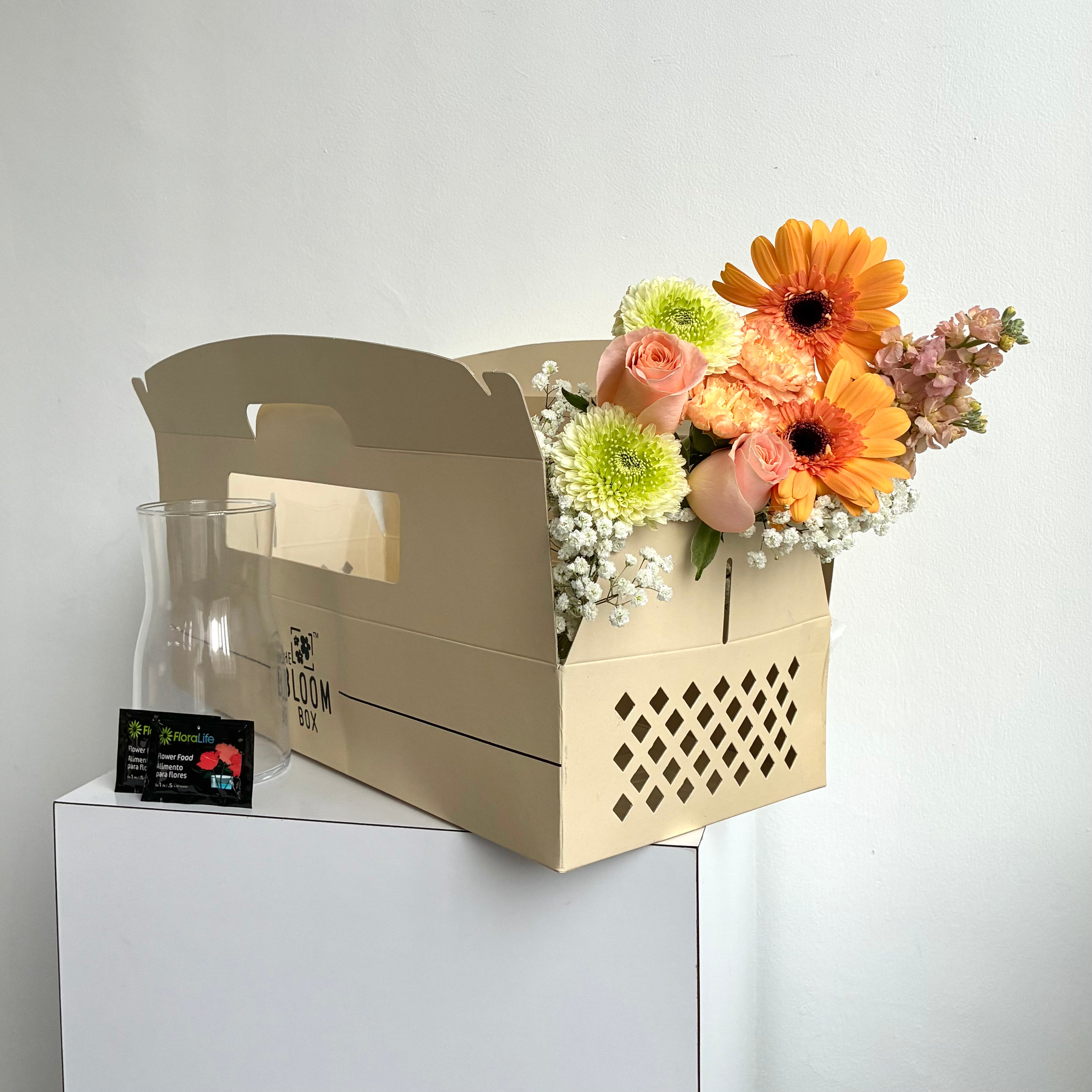 The Bloom Box of the Day