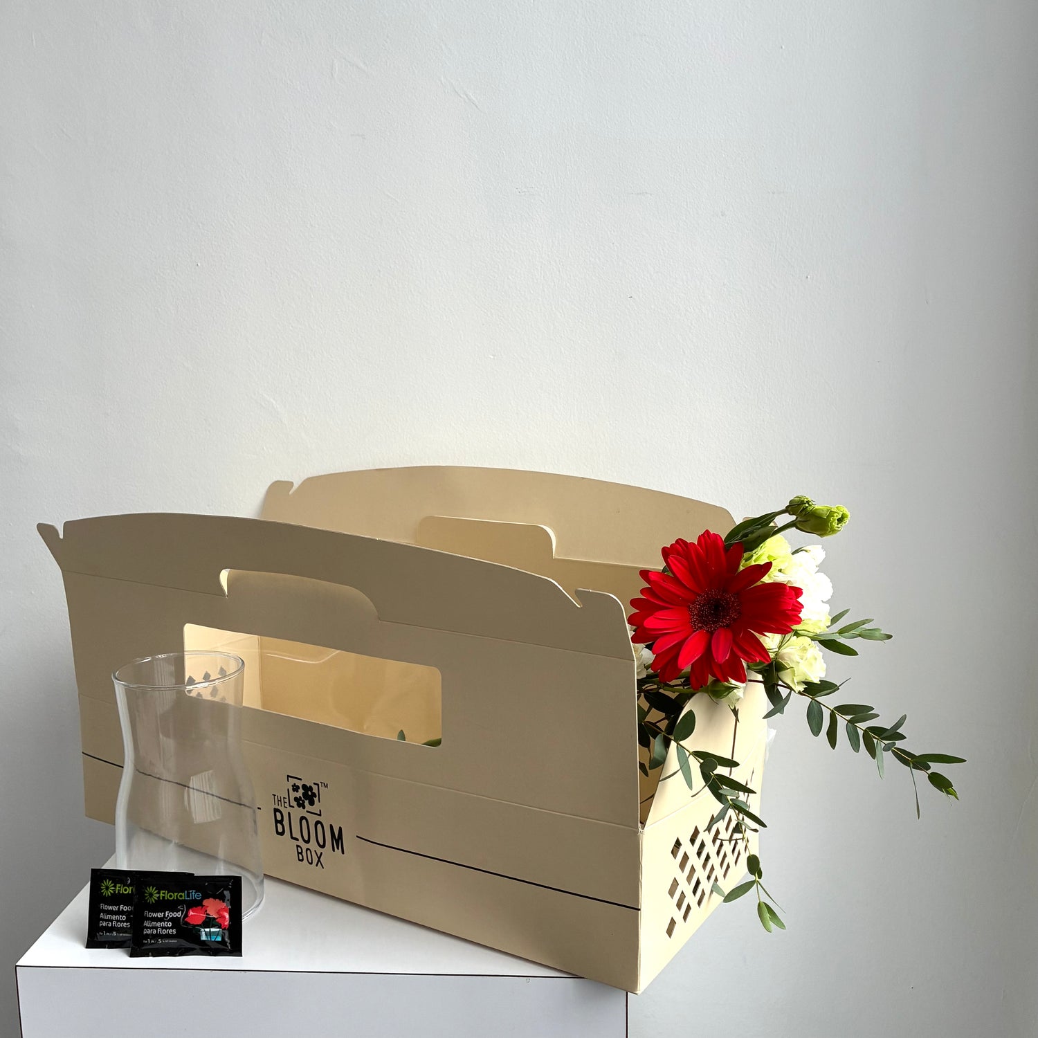 The Bloom Box of the Day
