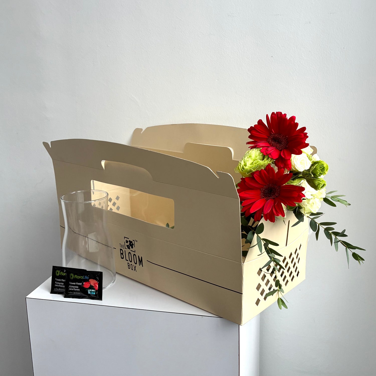 The Bloom Box of the Day