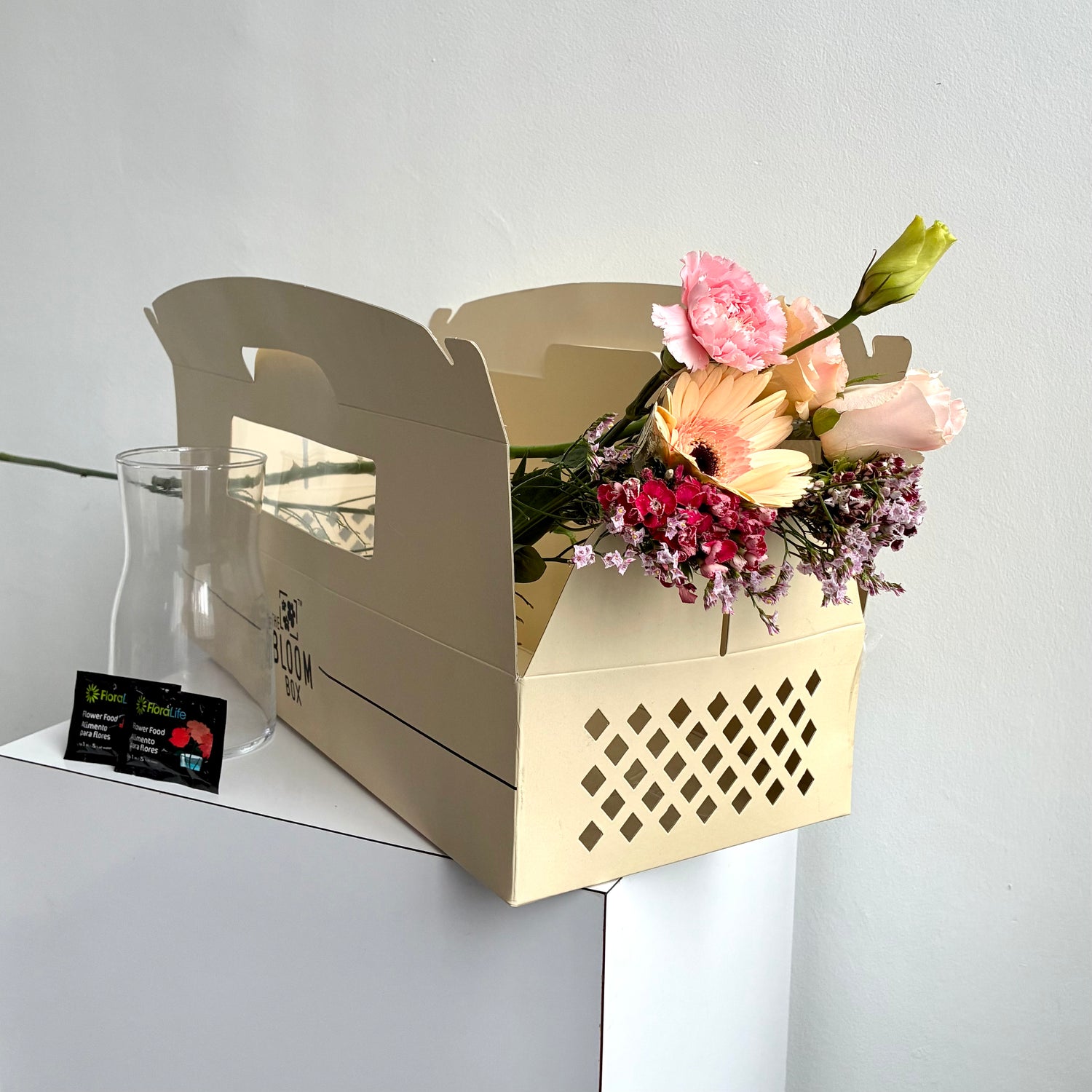 The Bloom Box of the Day