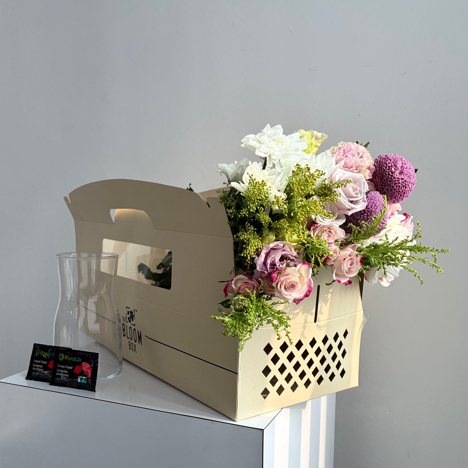 The Bloom Box of the Day