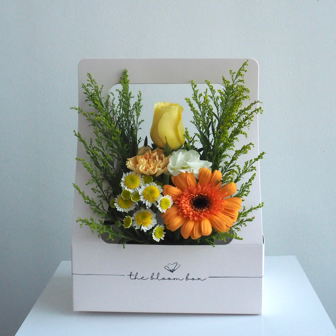 The Bloom Box of the Day
