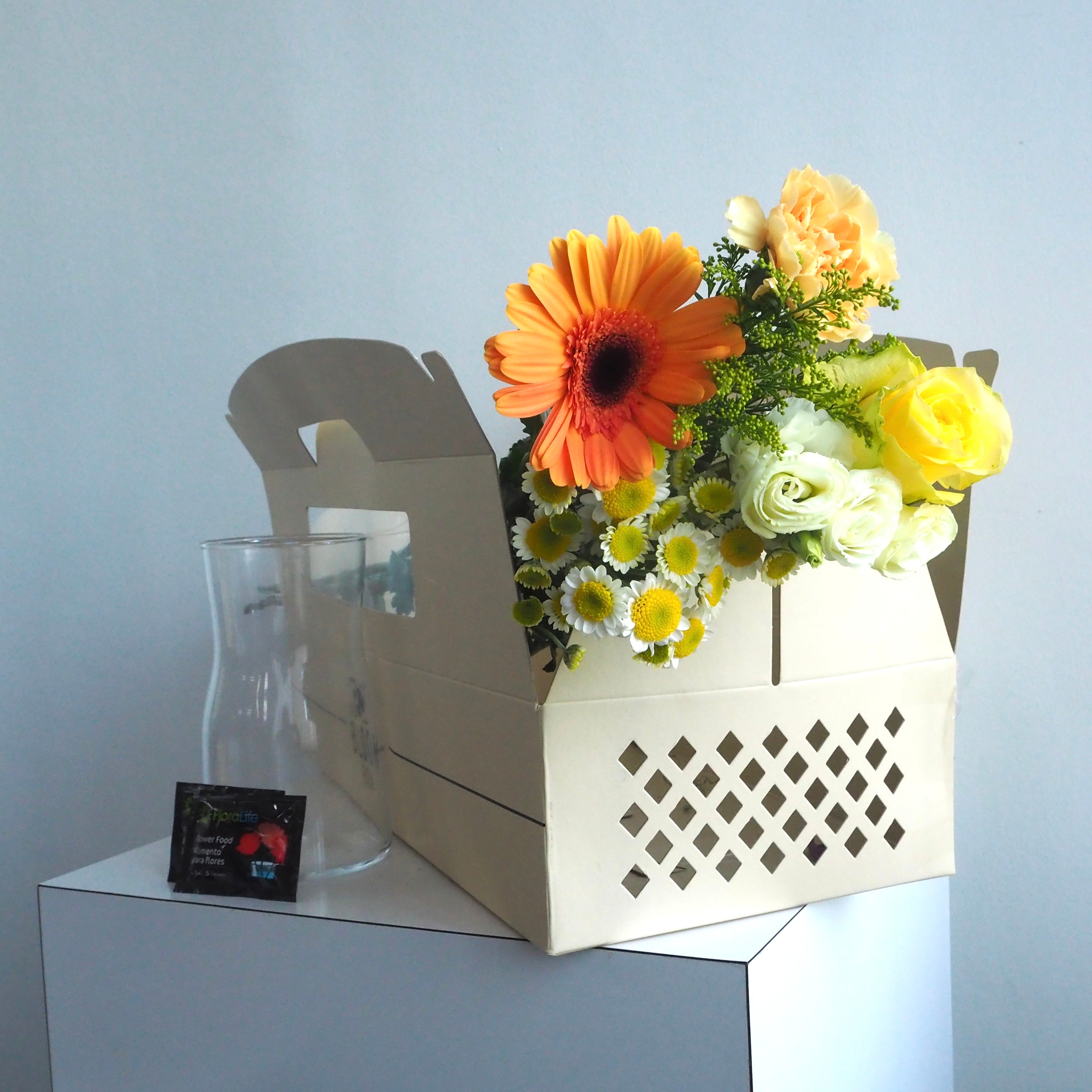 The Bloom Box of the Day