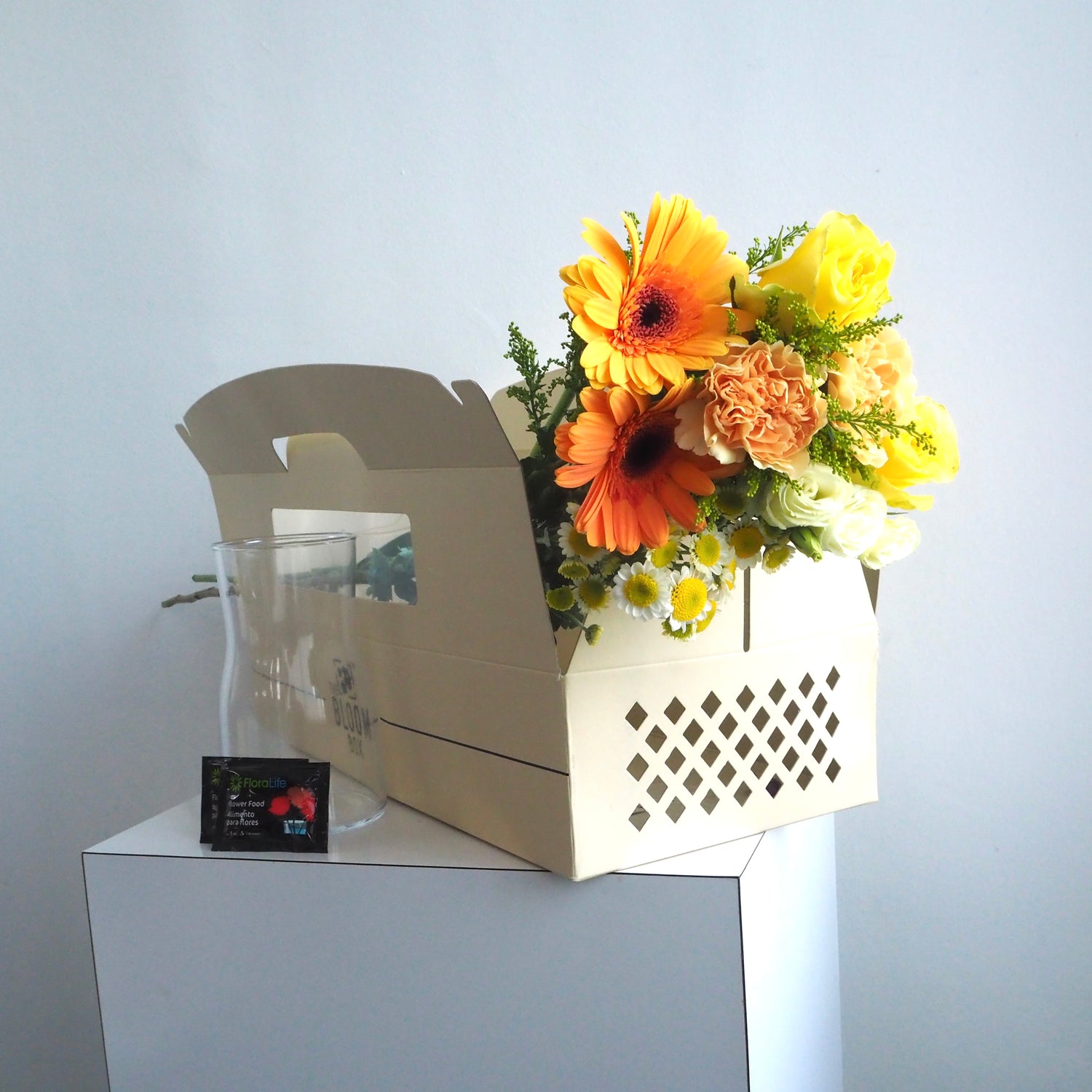 The Bloom Box of the Day
