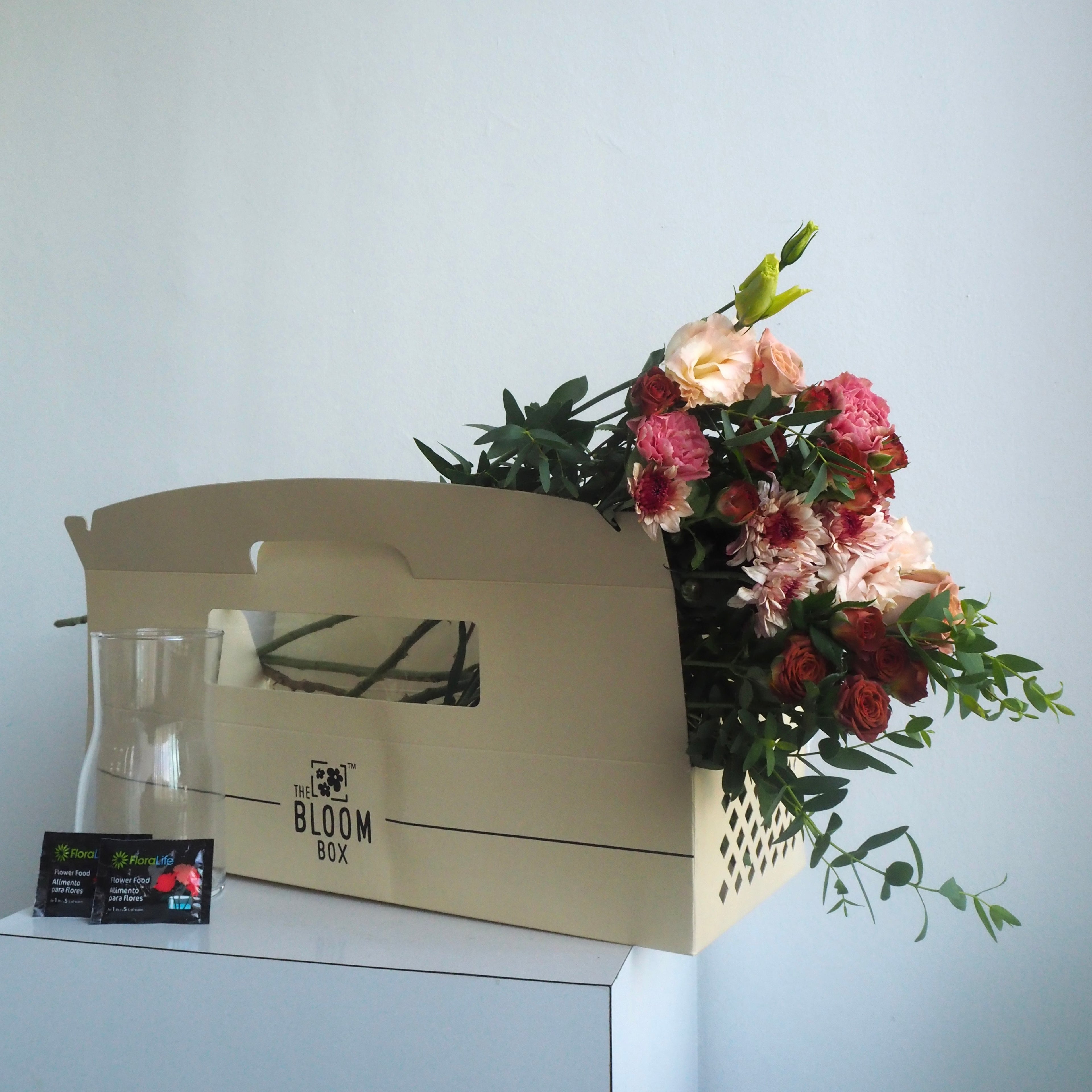 The Bloom Box of the Day