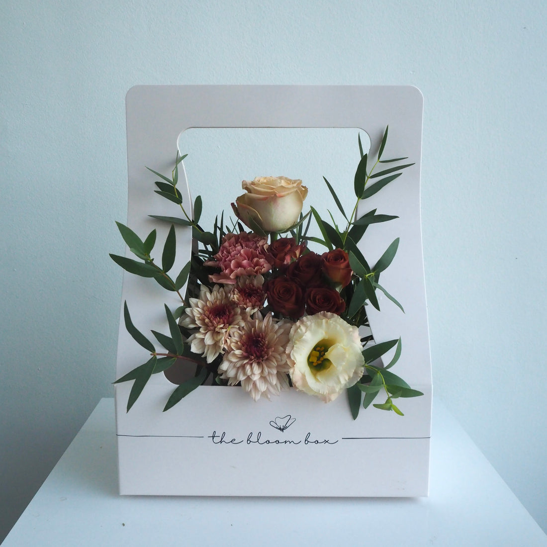 The Bloom Box of the Day