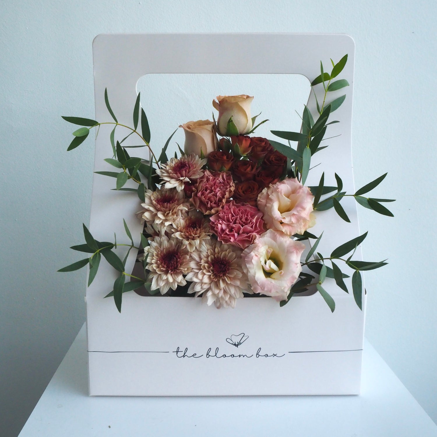 The Bloom Box of the Day