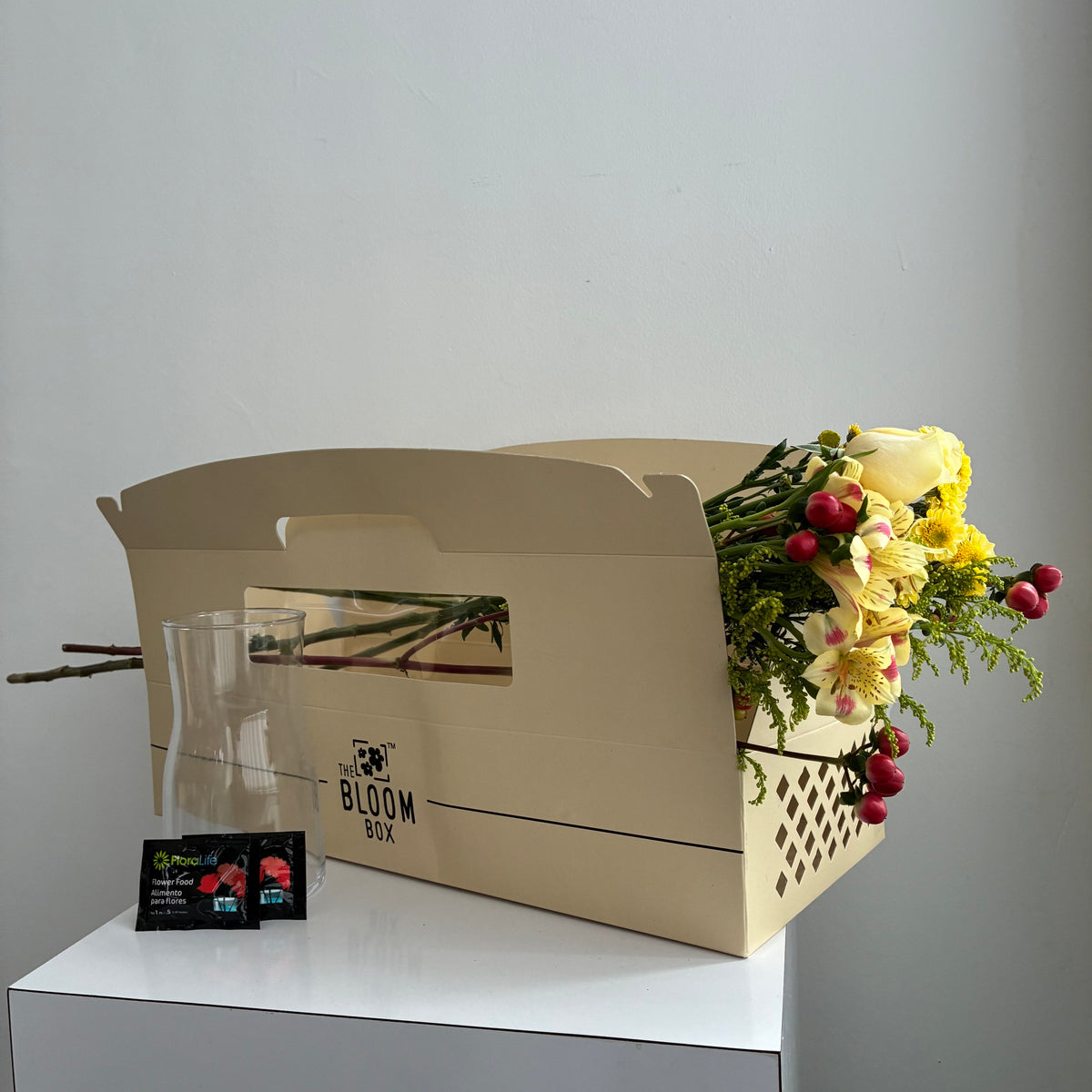 The Bloom Box of the Day