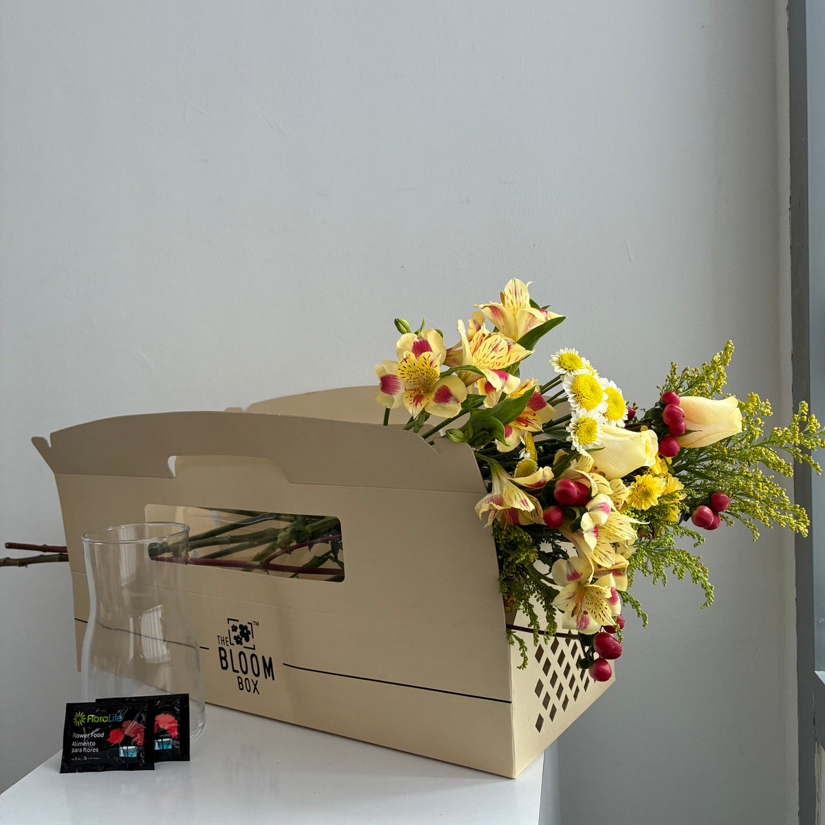The Bloom Box of the Day