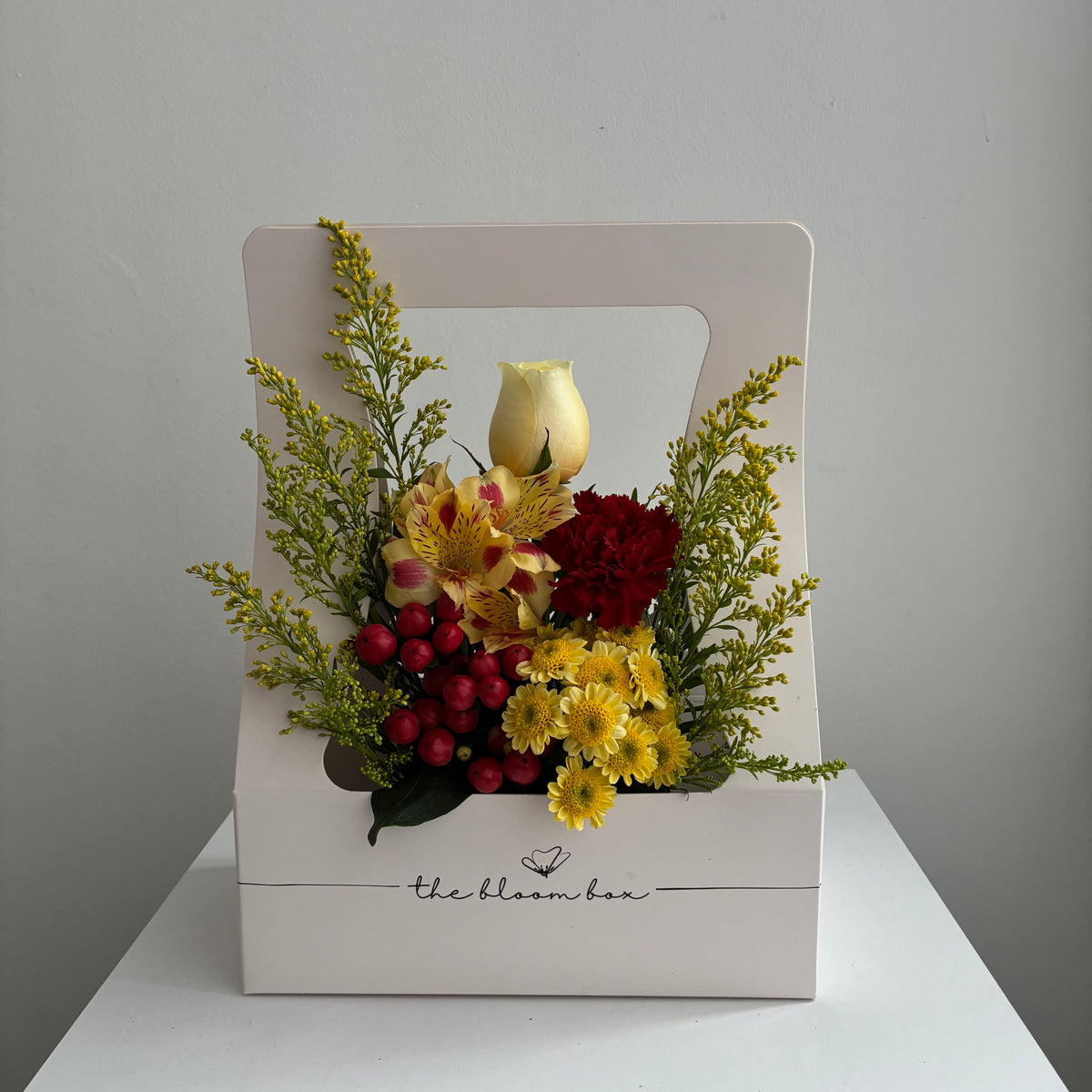 The Bloom Box of the Day