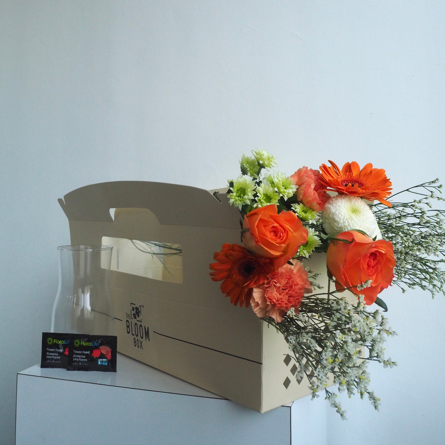 The Bloom Box of the Day