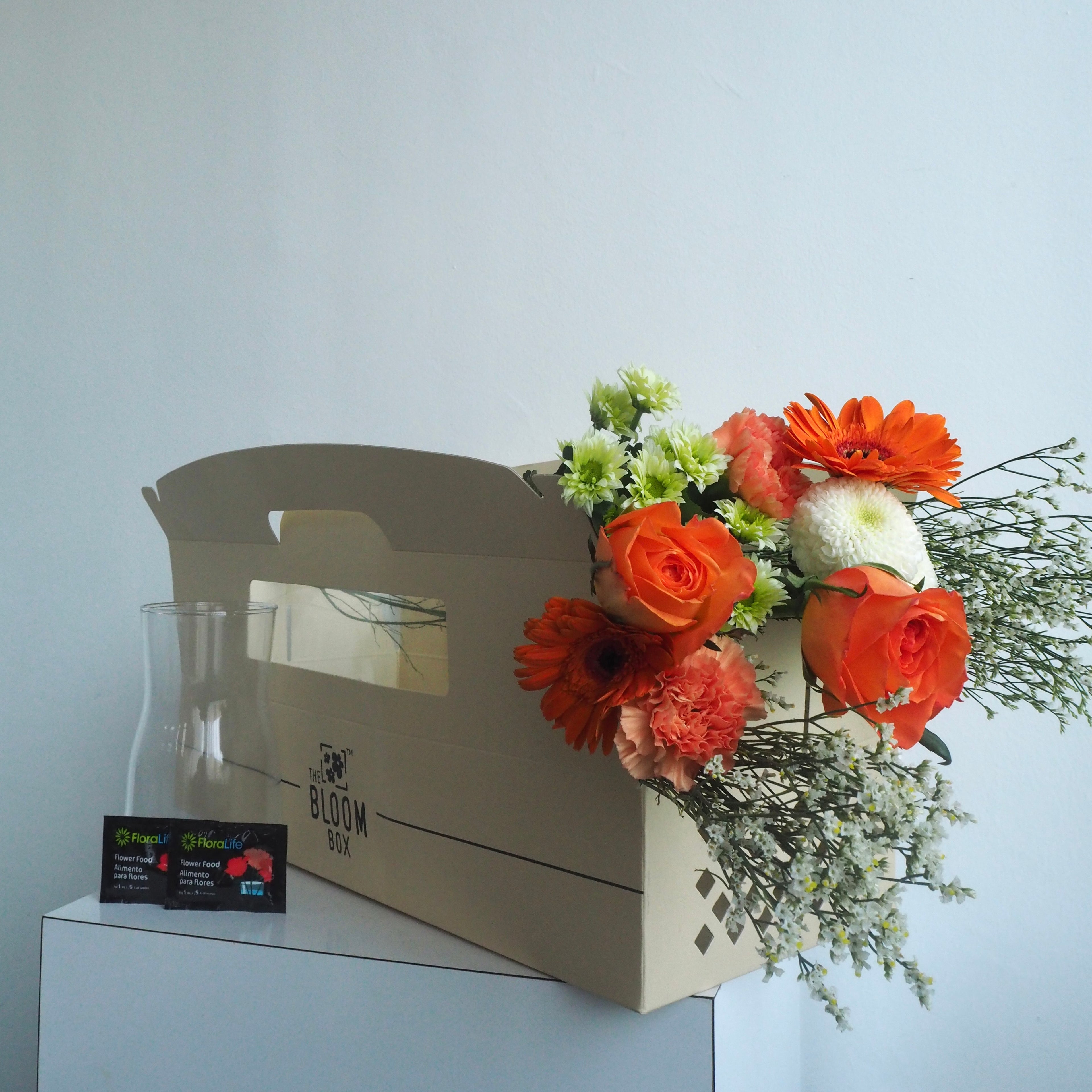 The Bloom Box of the Day