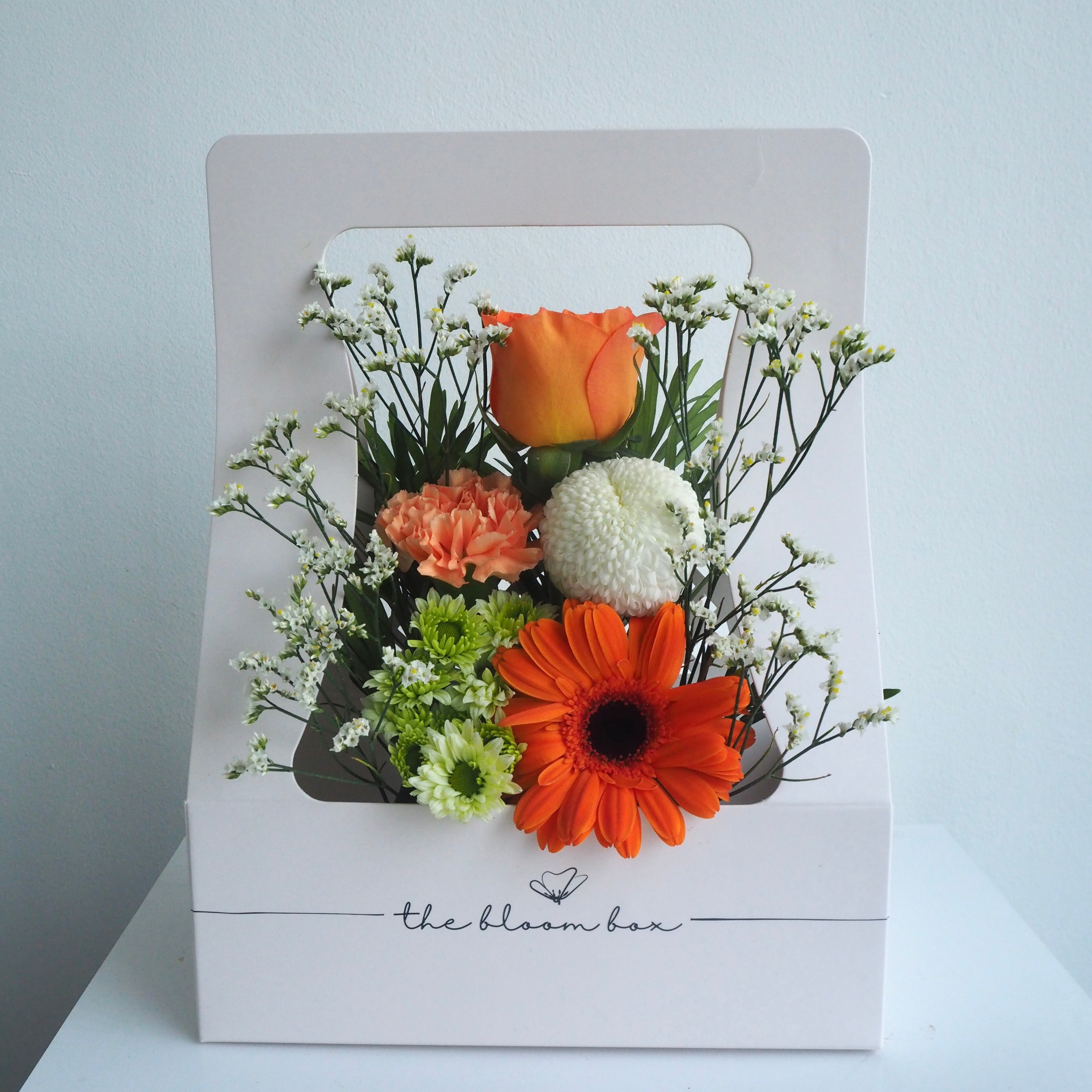 The Bloom Box of the Day