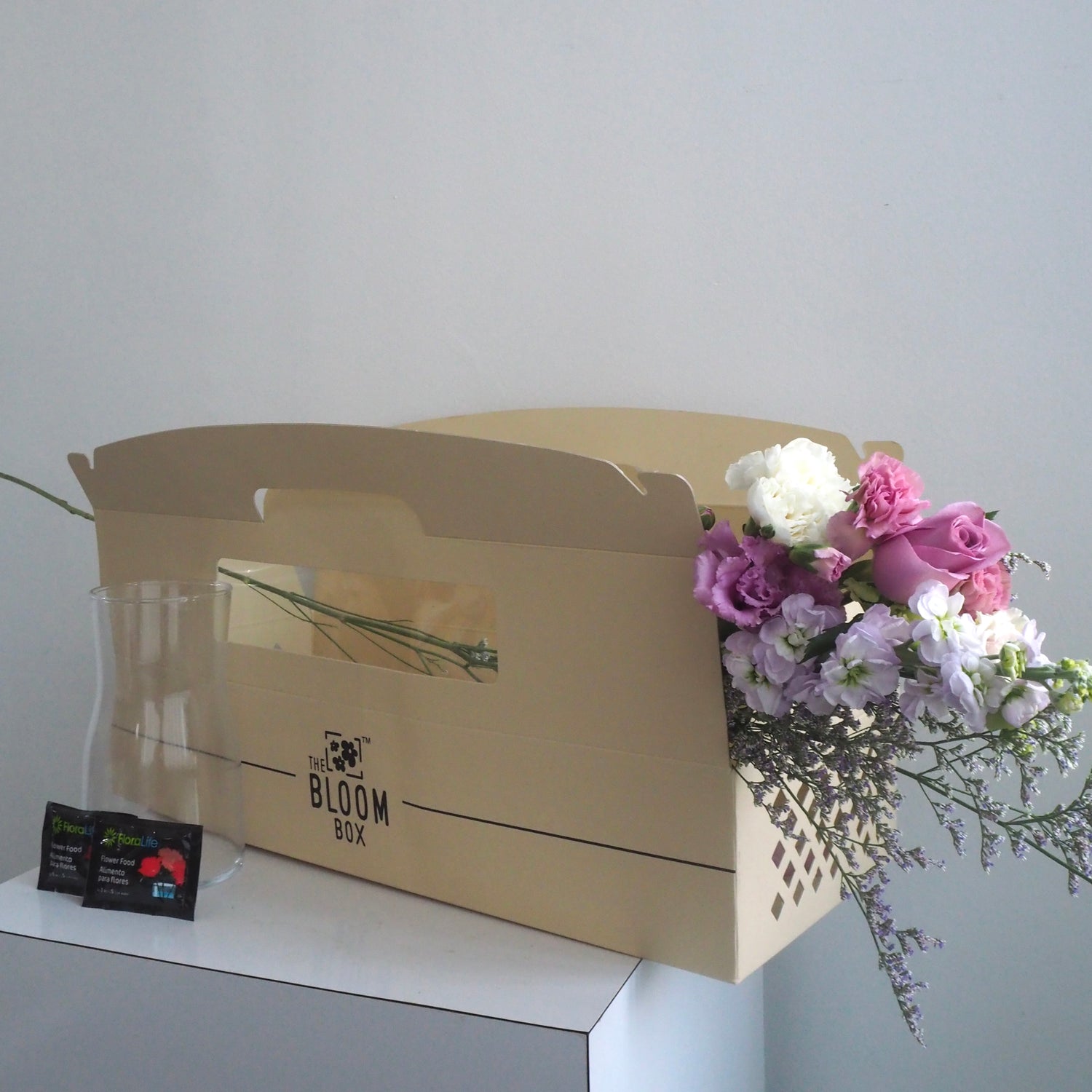 The Bloom Box of the Day