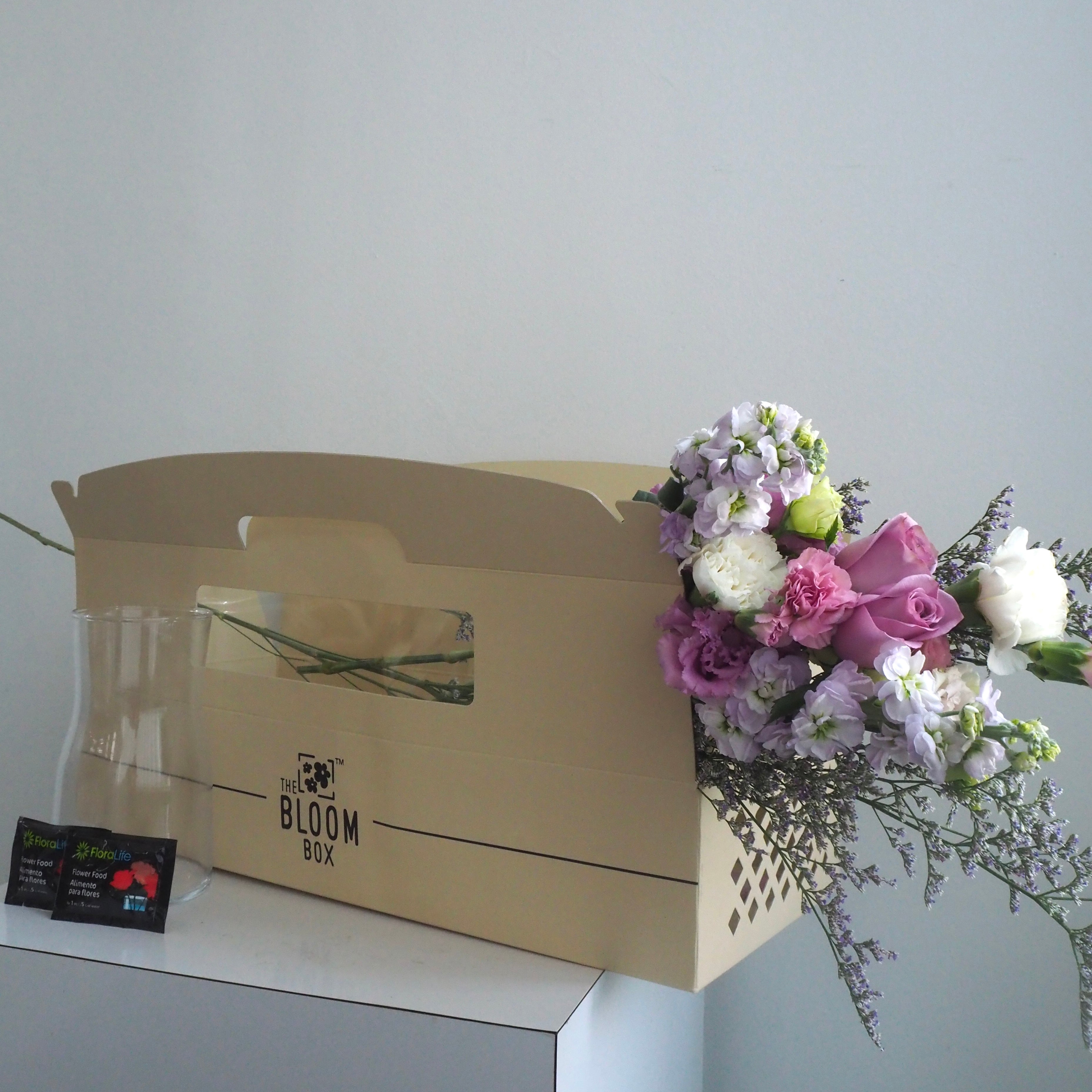 The Bloom Box of the Day