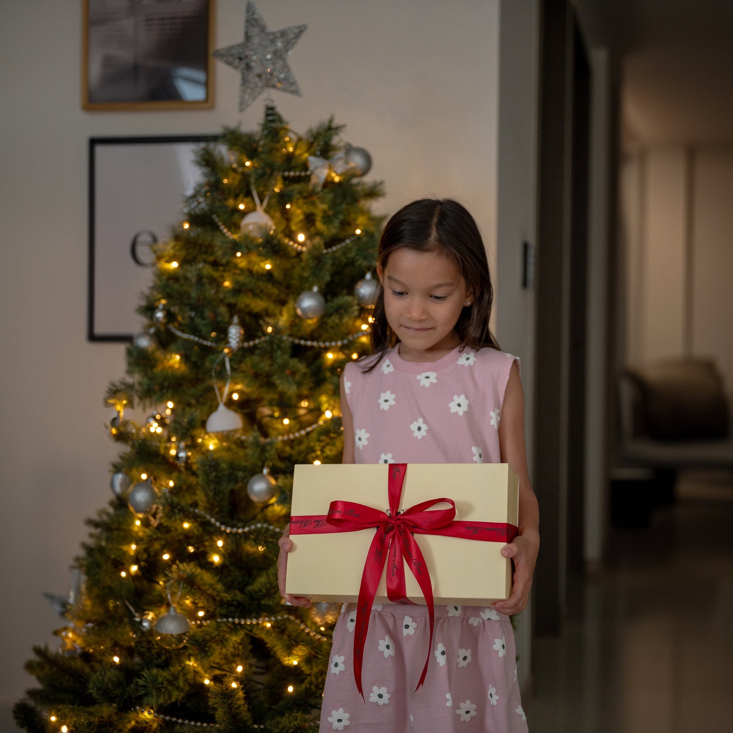Merry Christmas Holiday Gift Box
