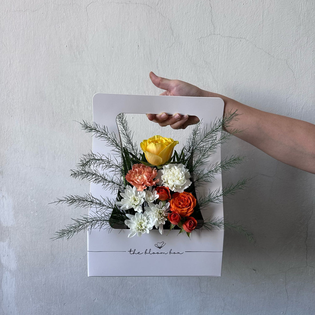 The Bloom Box of the Day