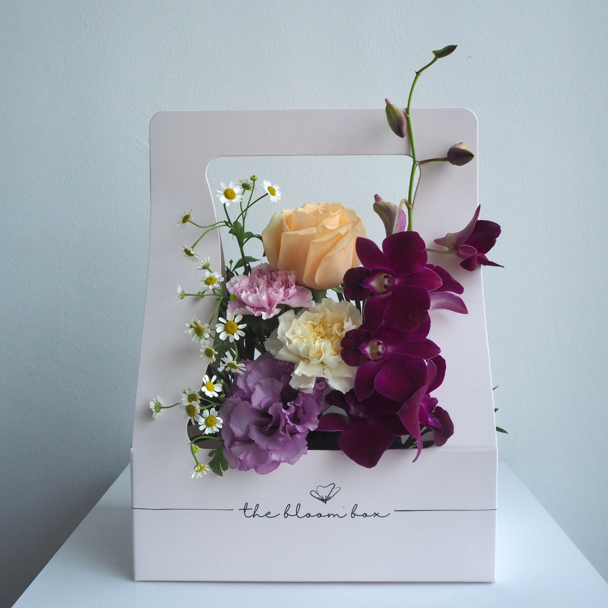 The Bloom Box of the Day