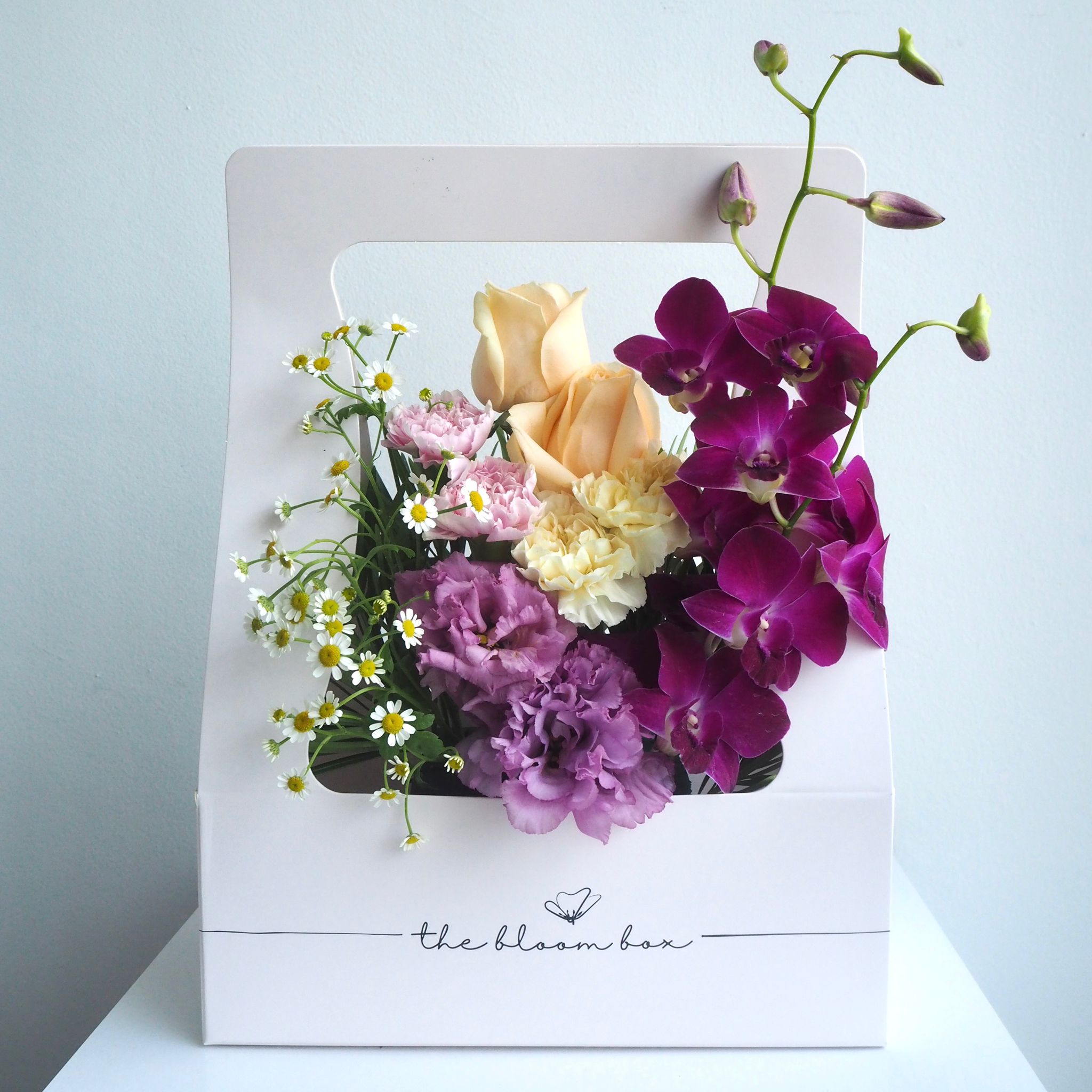 The Bloom Box of the Day