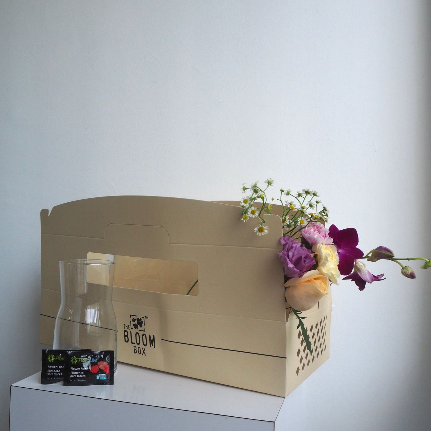 The Bloom Box of the Day