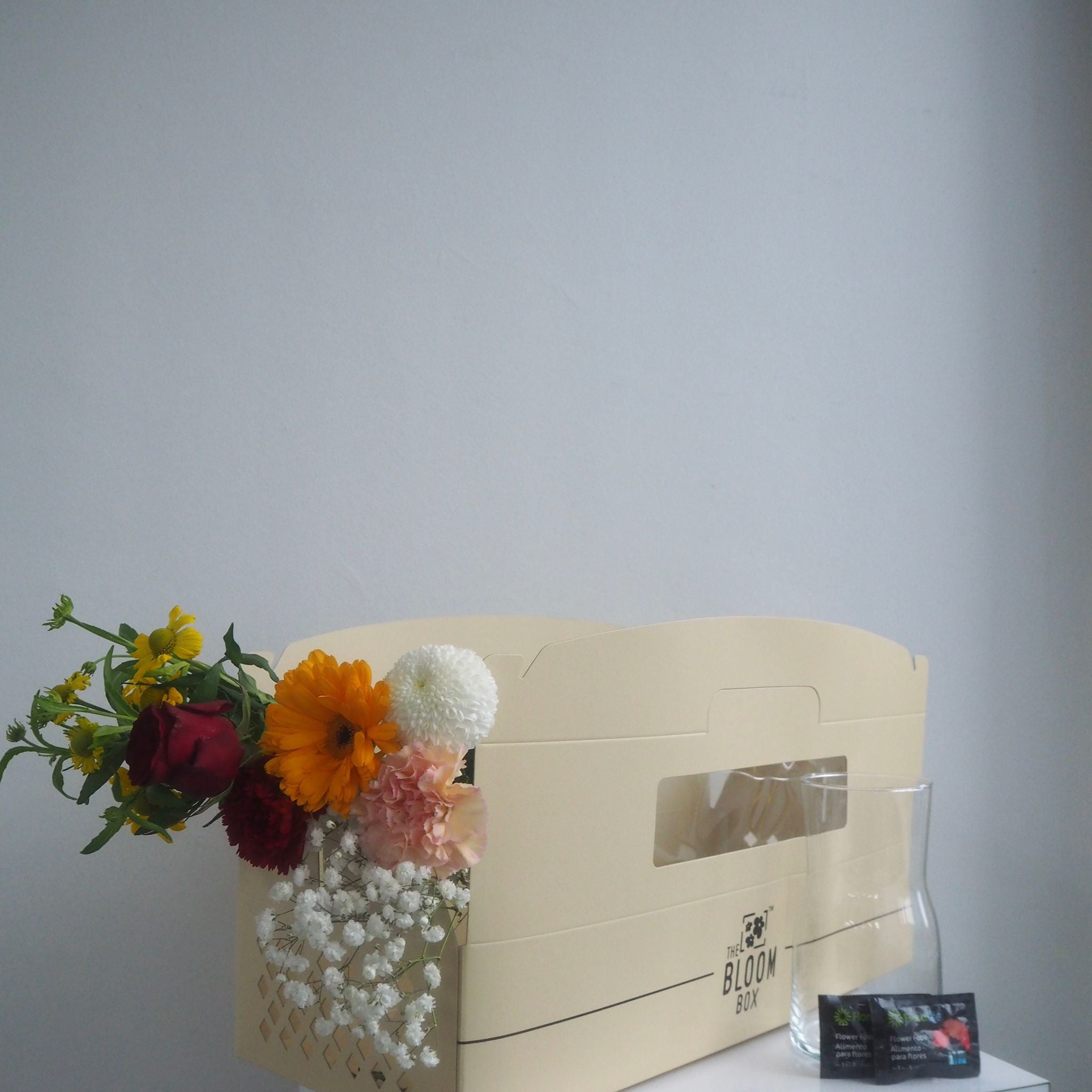 The Bloom Box of the Day