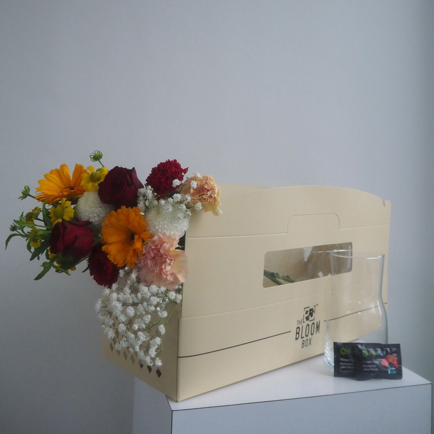 The Bloom Box of the Day