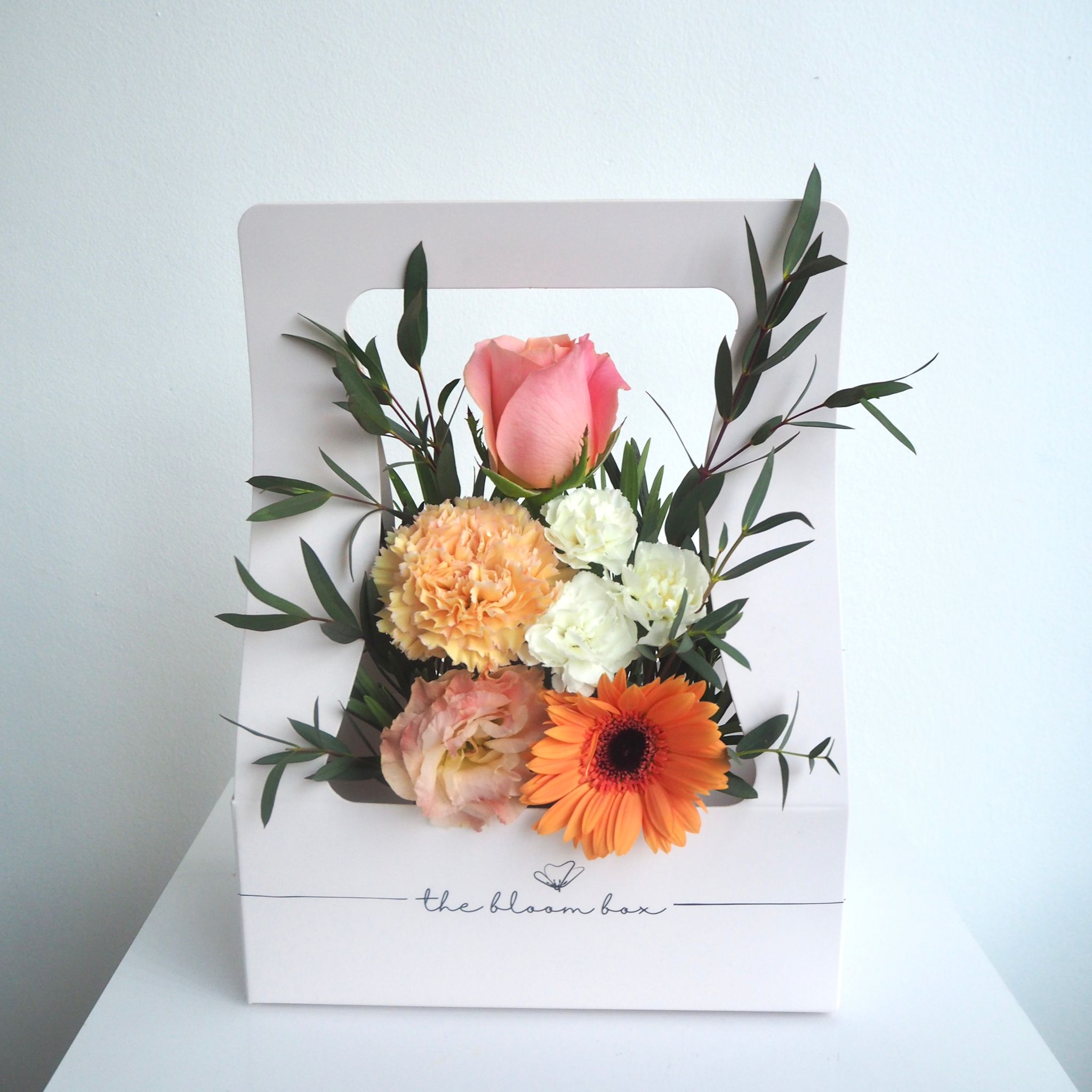 The Bloom Box of the Day