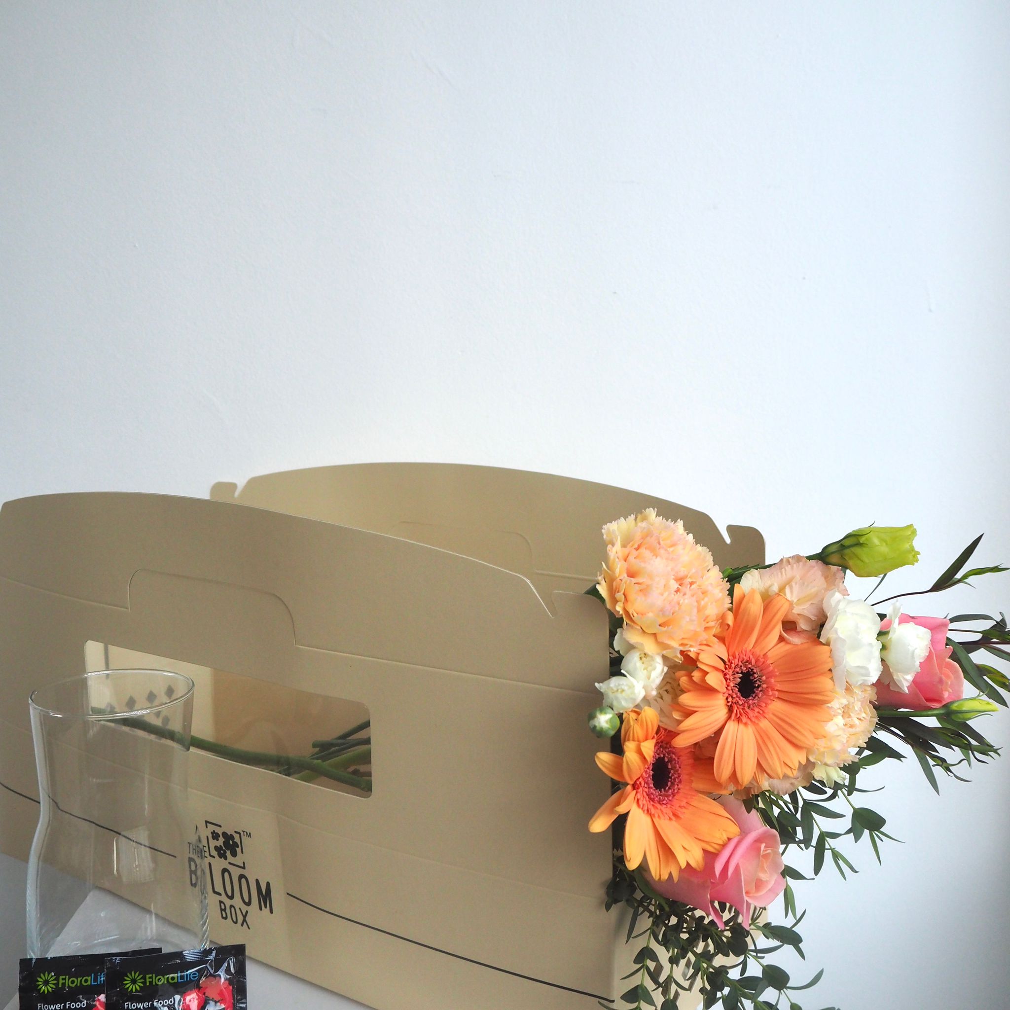 The Bloom Box of the Day