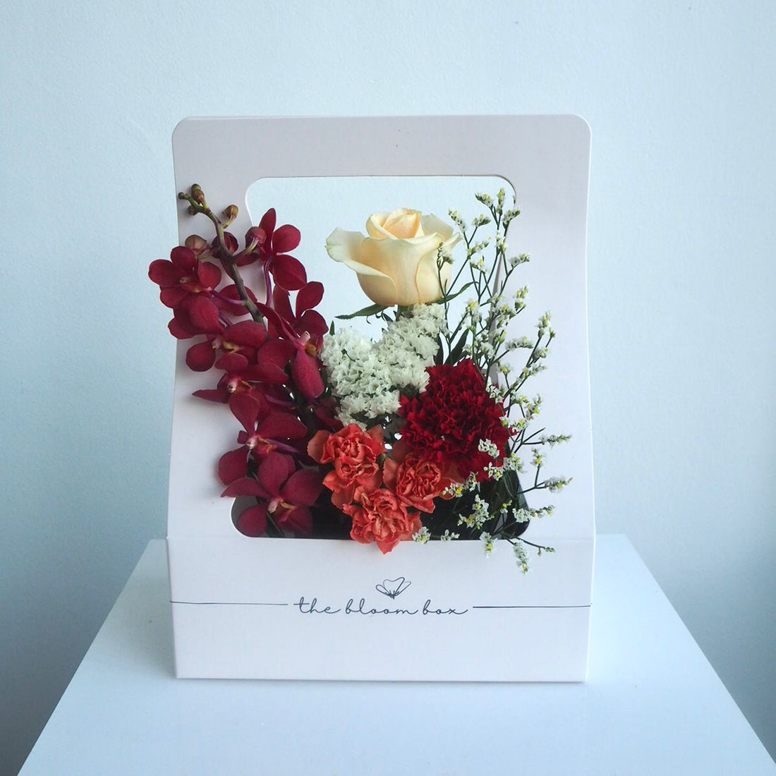 The Bloom Box of the Day
