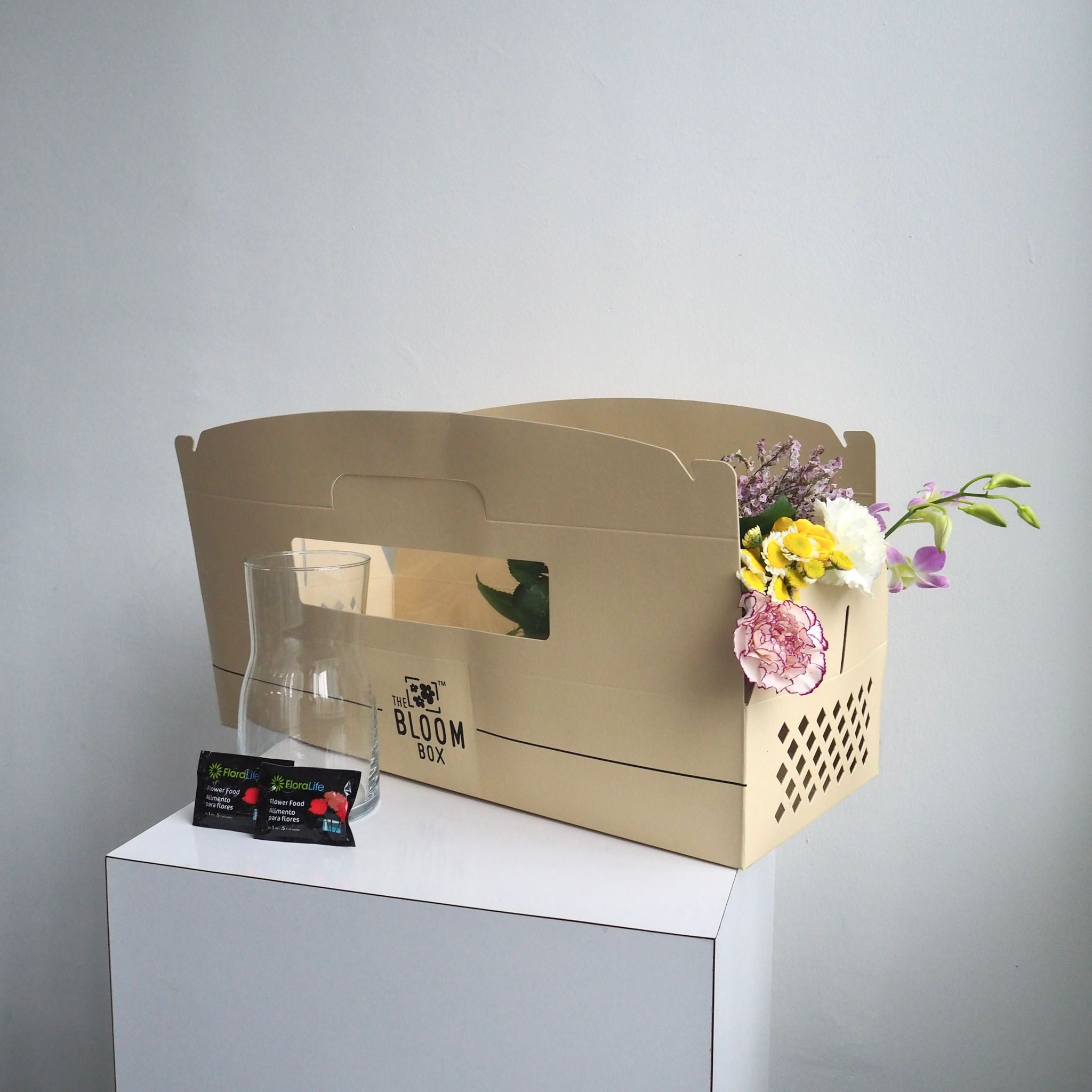 The Bloom Box of the Day