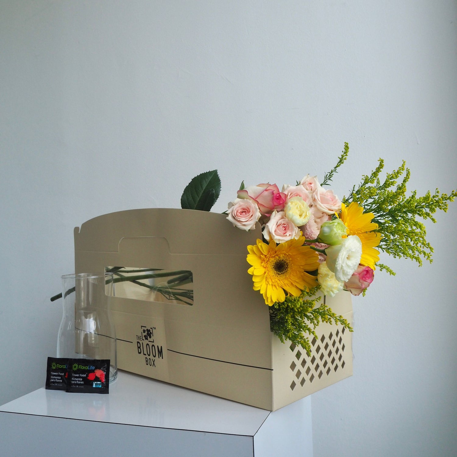 The Bloom Box of the Day
