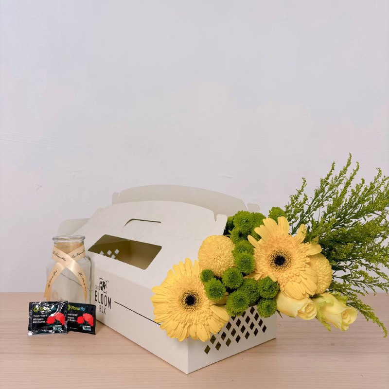 The Bloom Box of the Day