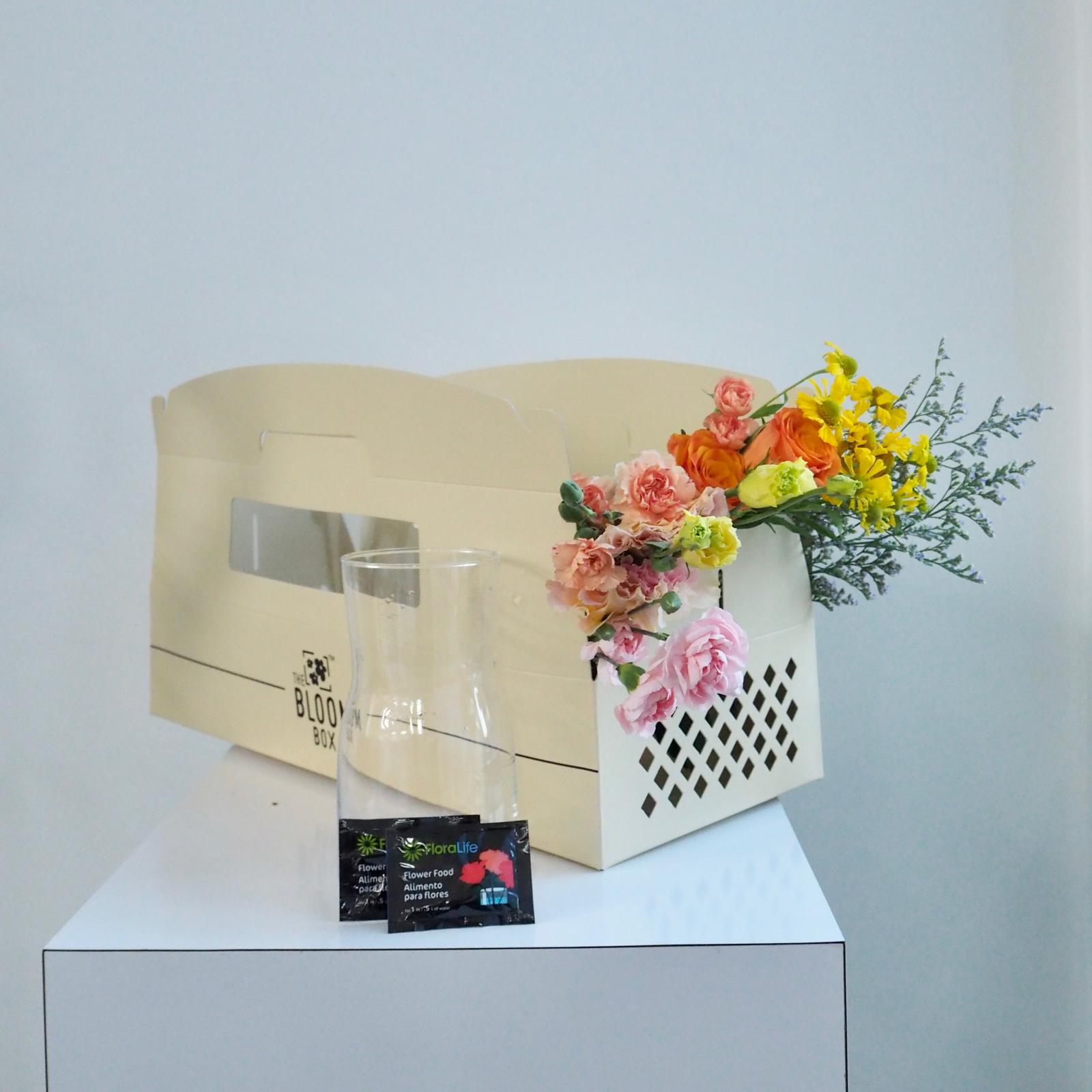 The Bloom Box of the Day
