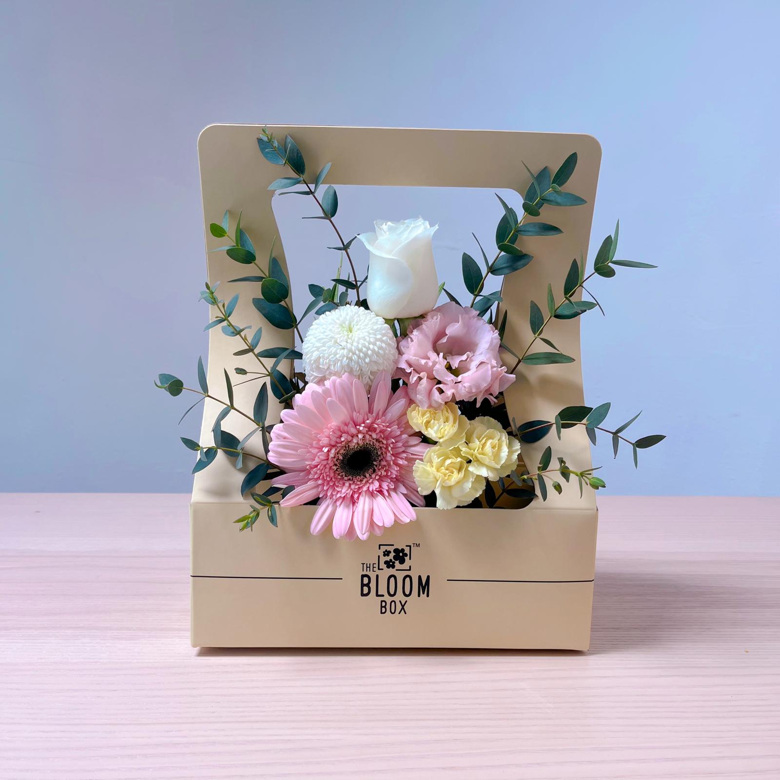 The Bloom Box of the Day